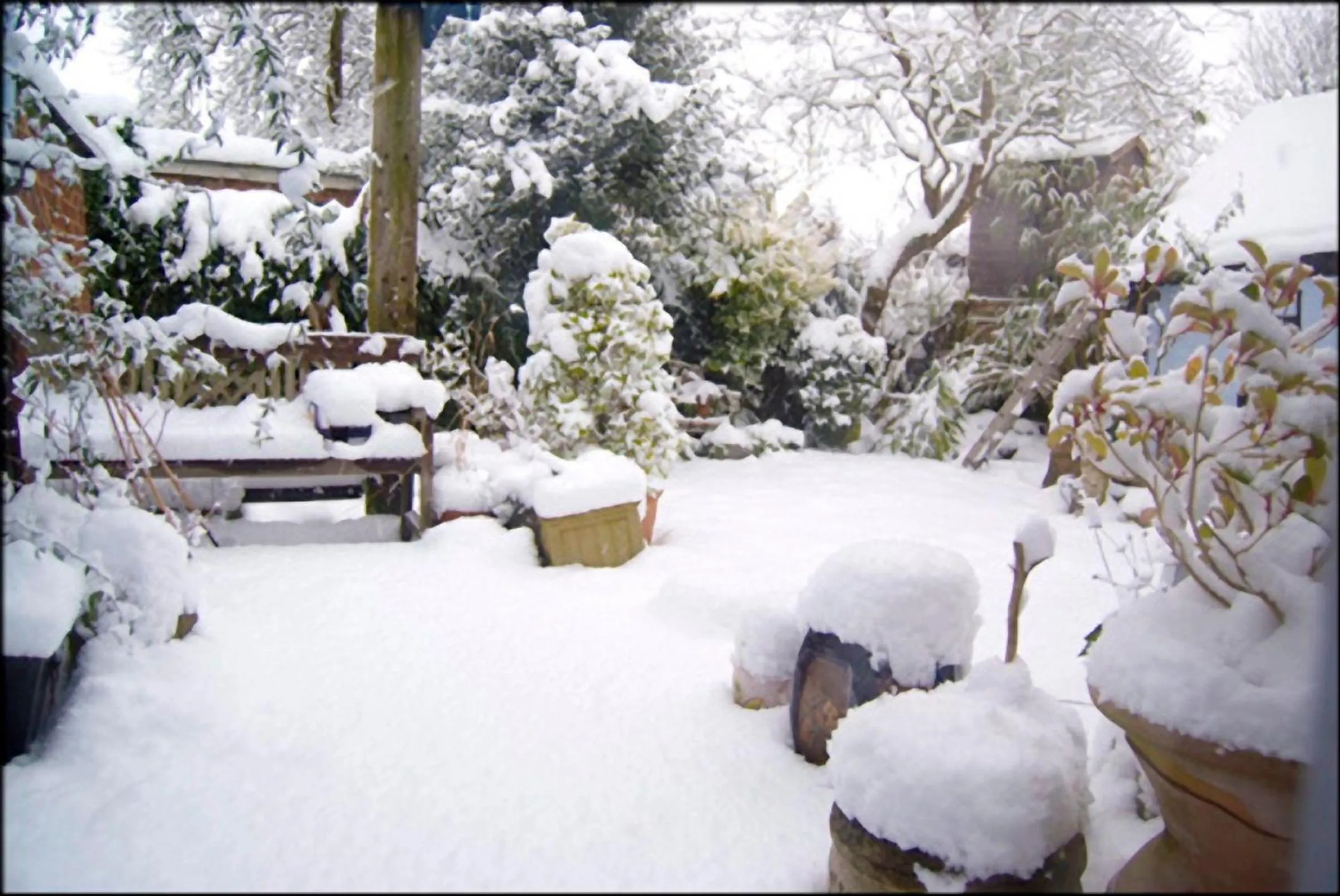 Garden view in The Old Stables B&B