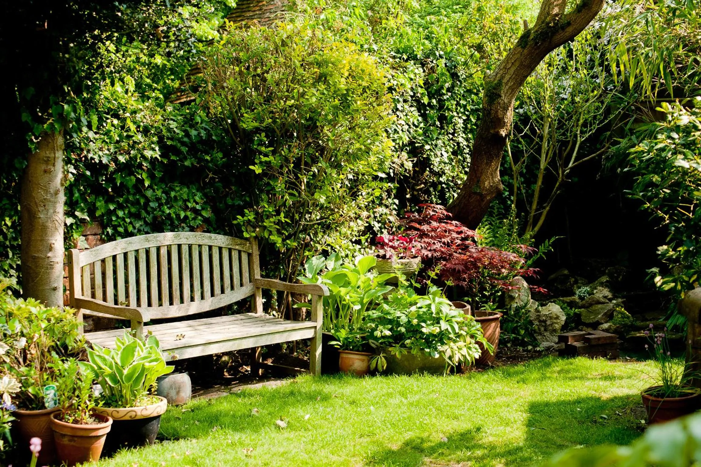 Garden view in The Old Stables B&B