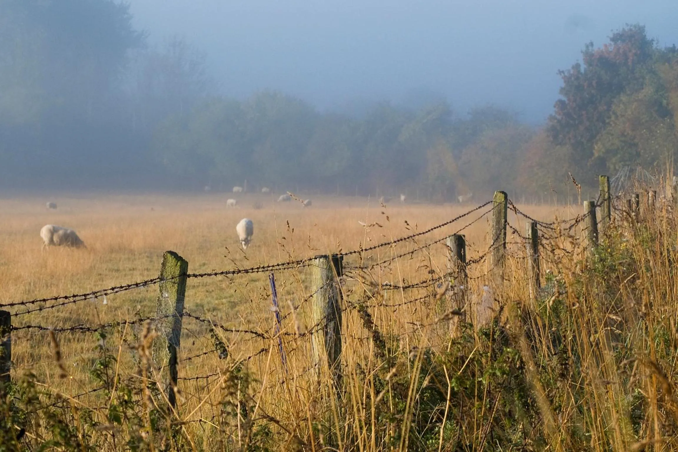 Natural landscape in The Old Stables B&B