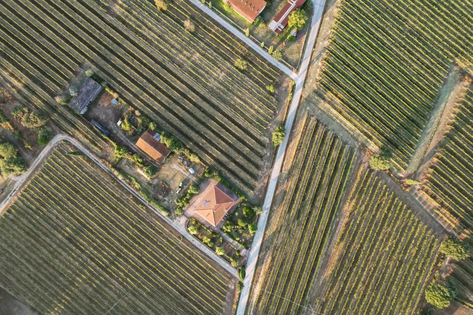 Bird's eye view in Cappannelle Country House Tuscany