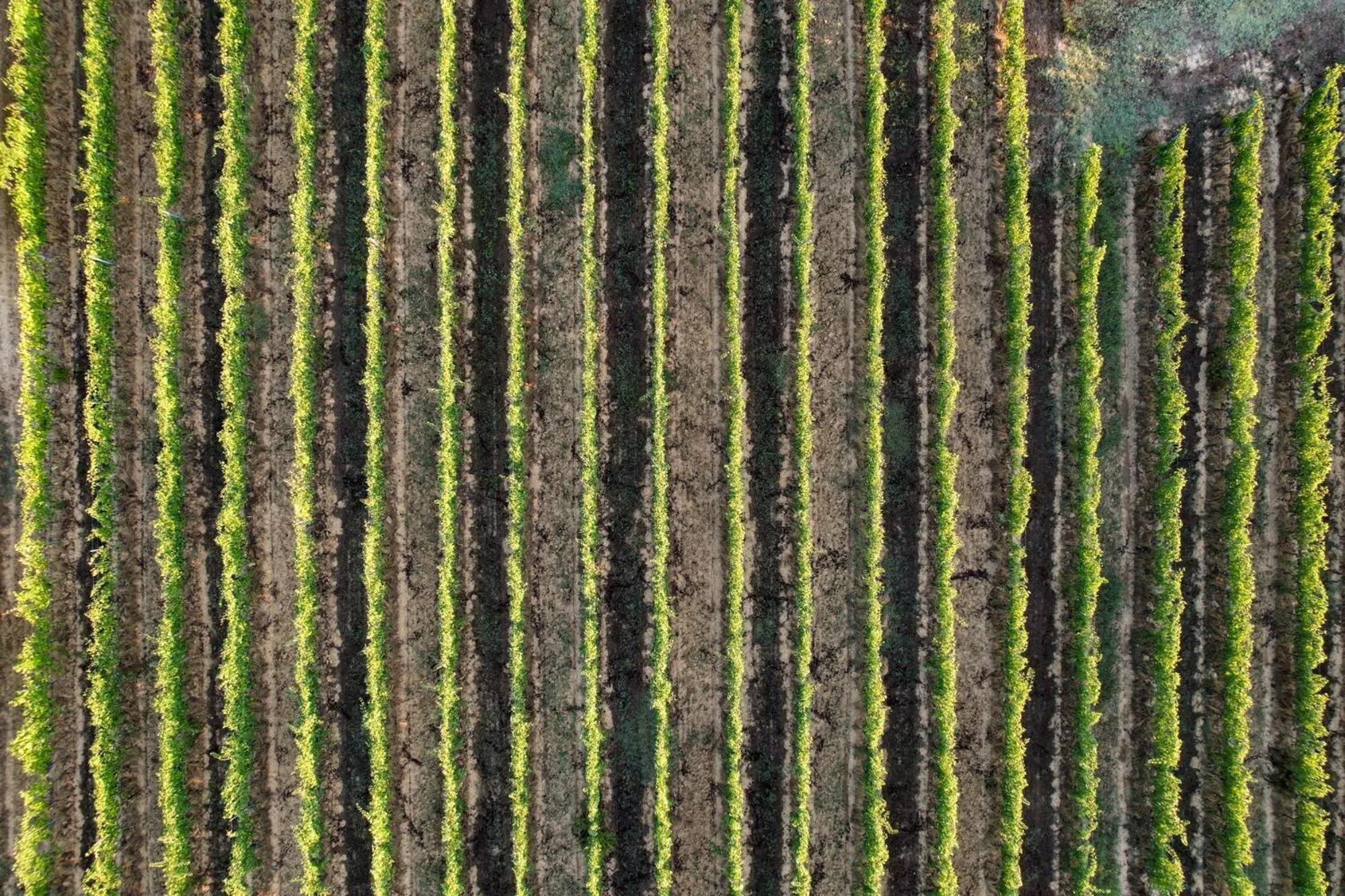 Day in Cappannelle Country House Tuscany