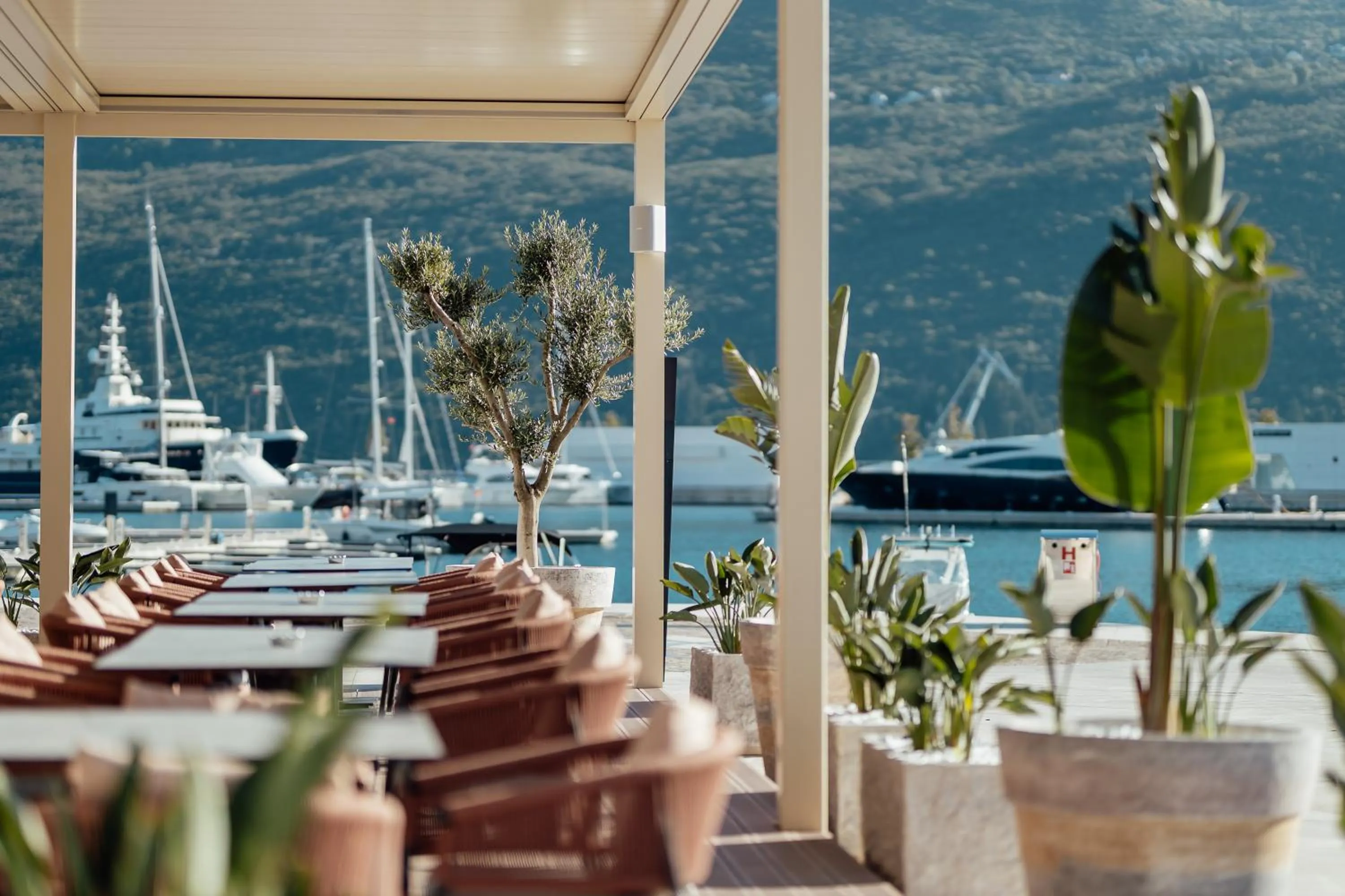 Restaurant/places to eat in Portonovi Resort