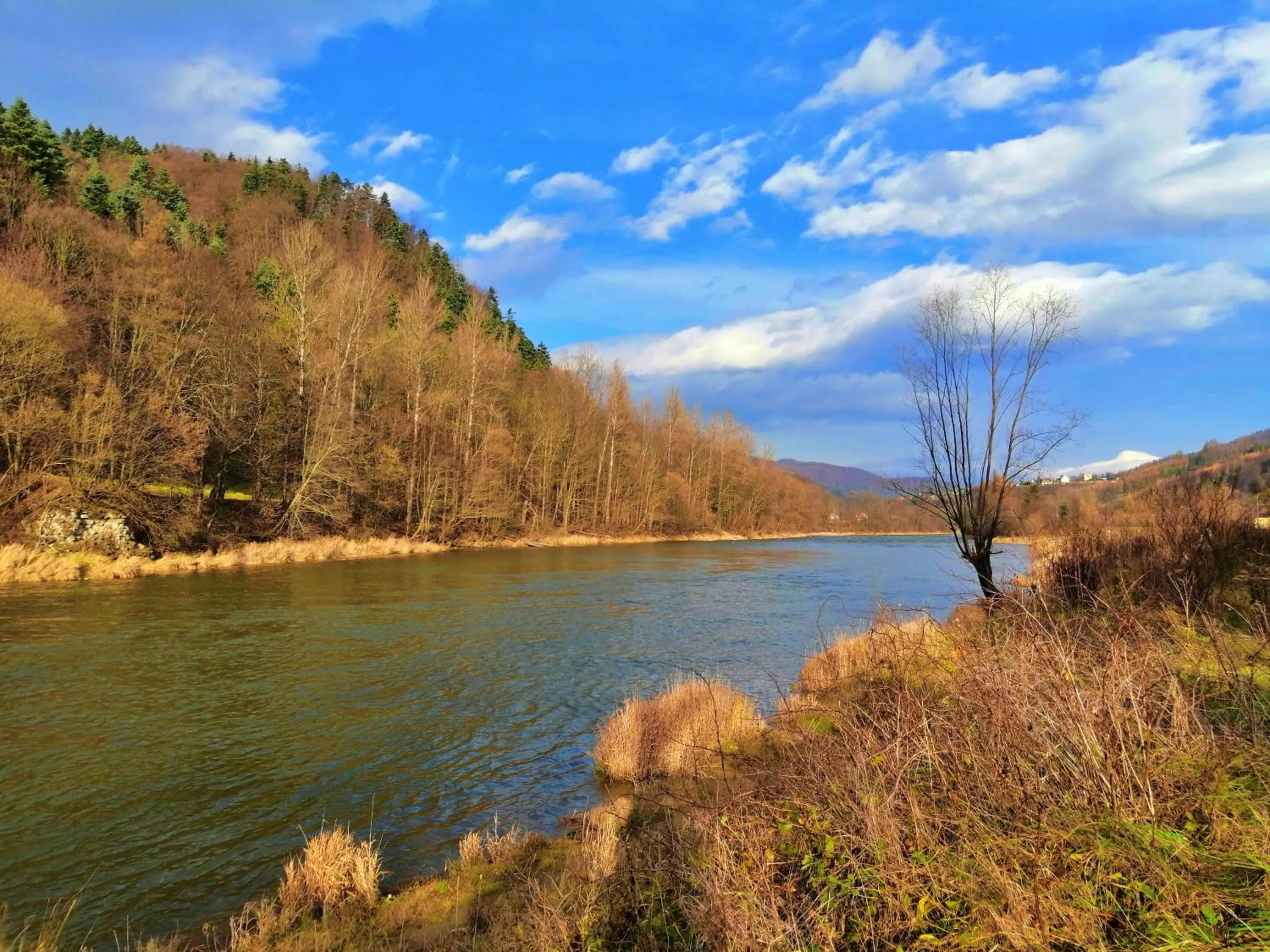 Natural landscape in Apartamenty Magia Gór