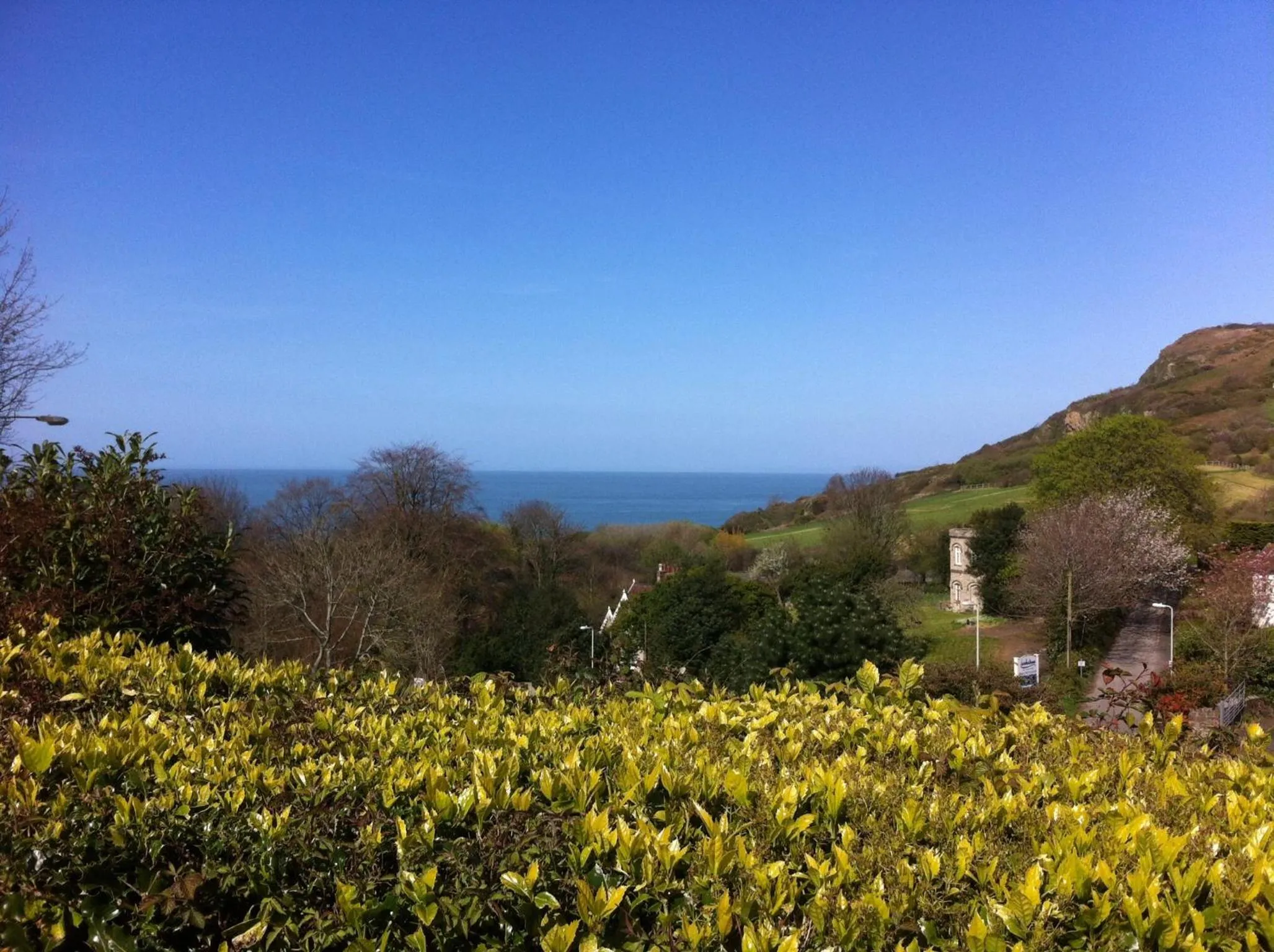 Natural landscape in Laston House