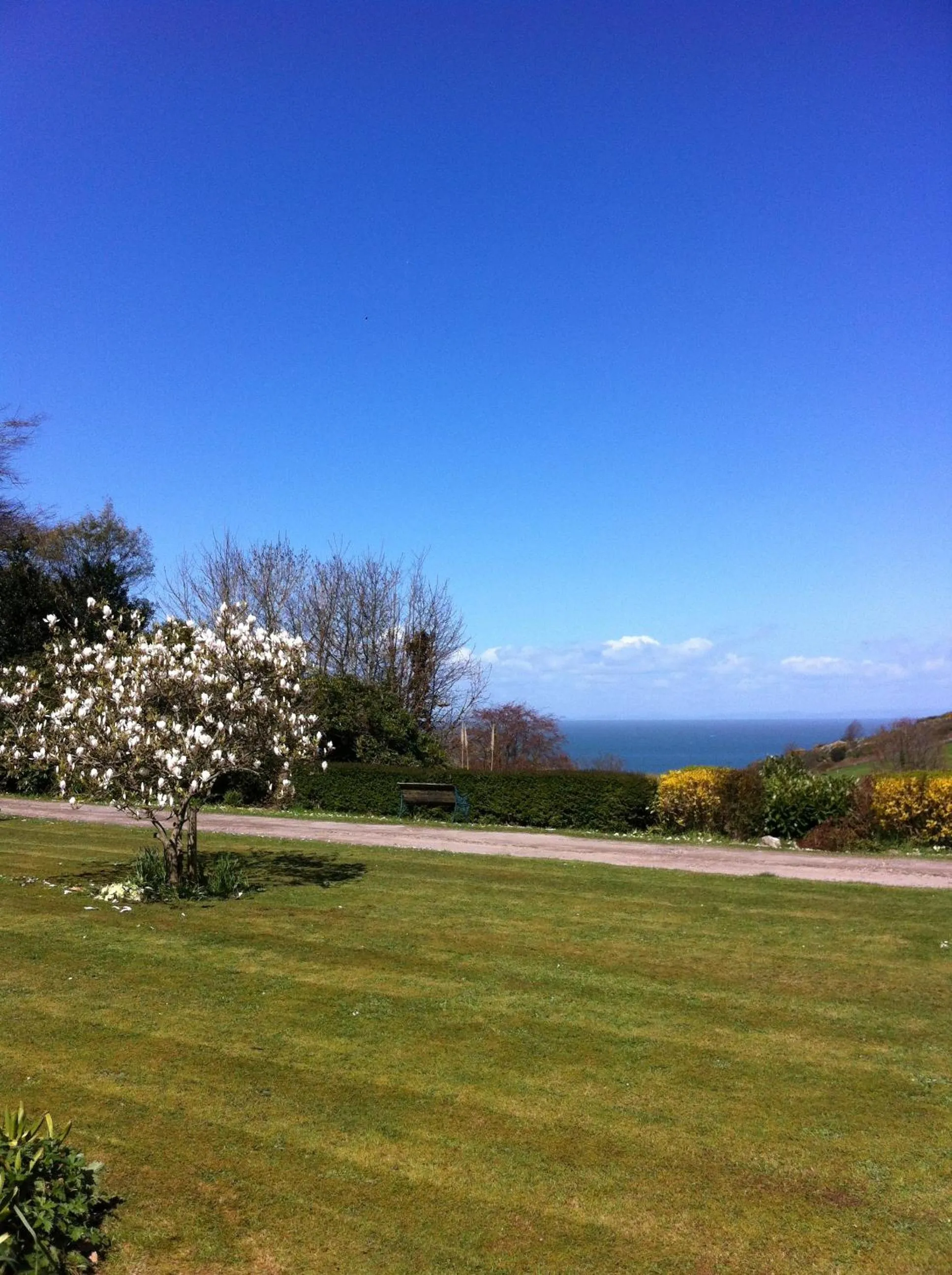 Natural landscape in Laston House