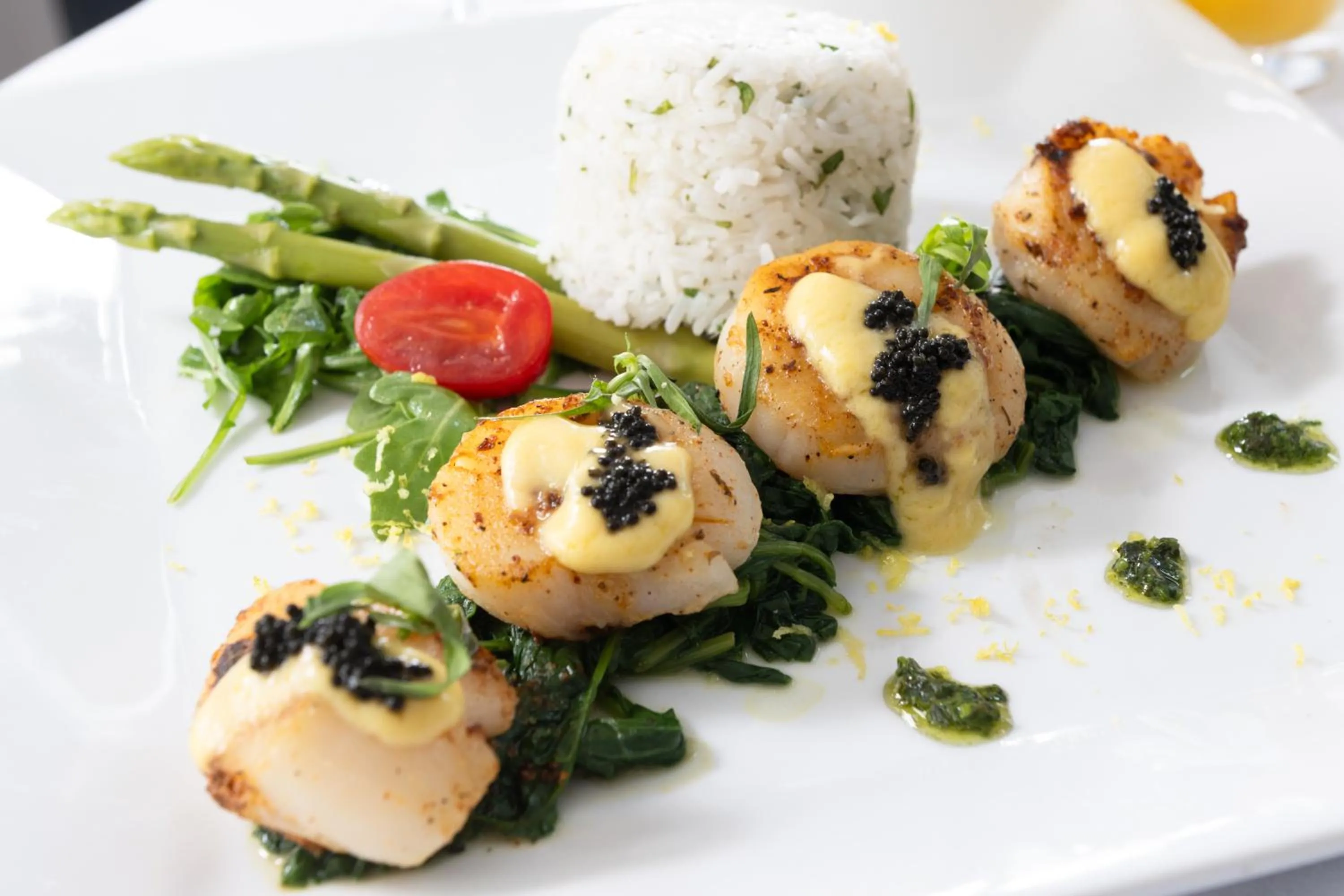 Food close-up in Casey Key Resorts - Mainland