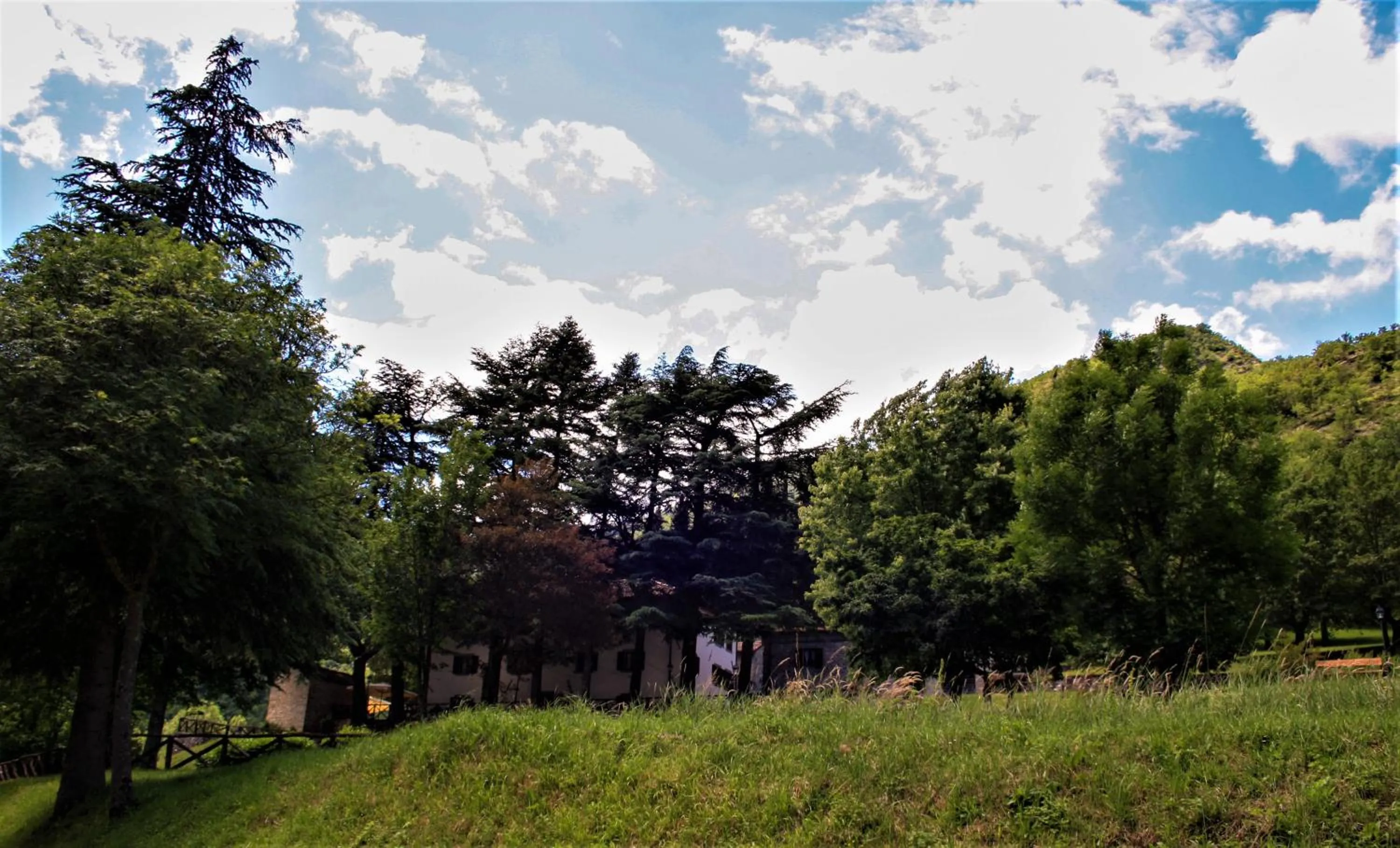 Garden in Il Palazzo Ridracoli