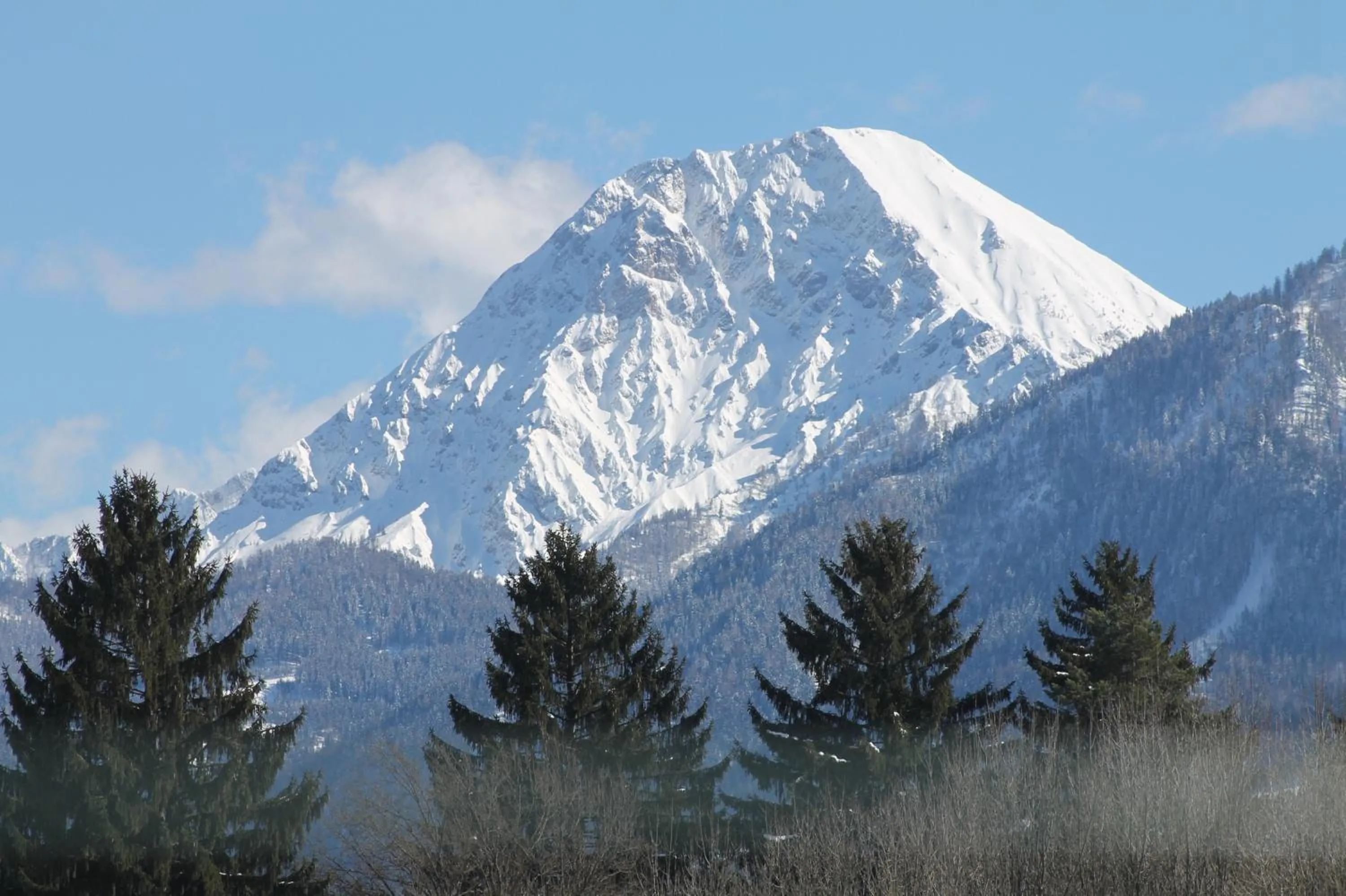 Natural landscape in Sportpark Warmbad-Villach