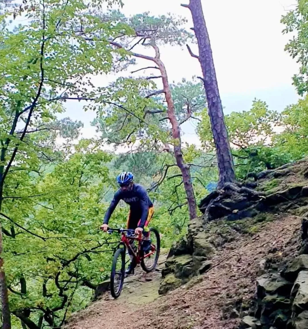 Cycling in Hotel Przy Oślej Bramie - Zamek Książ