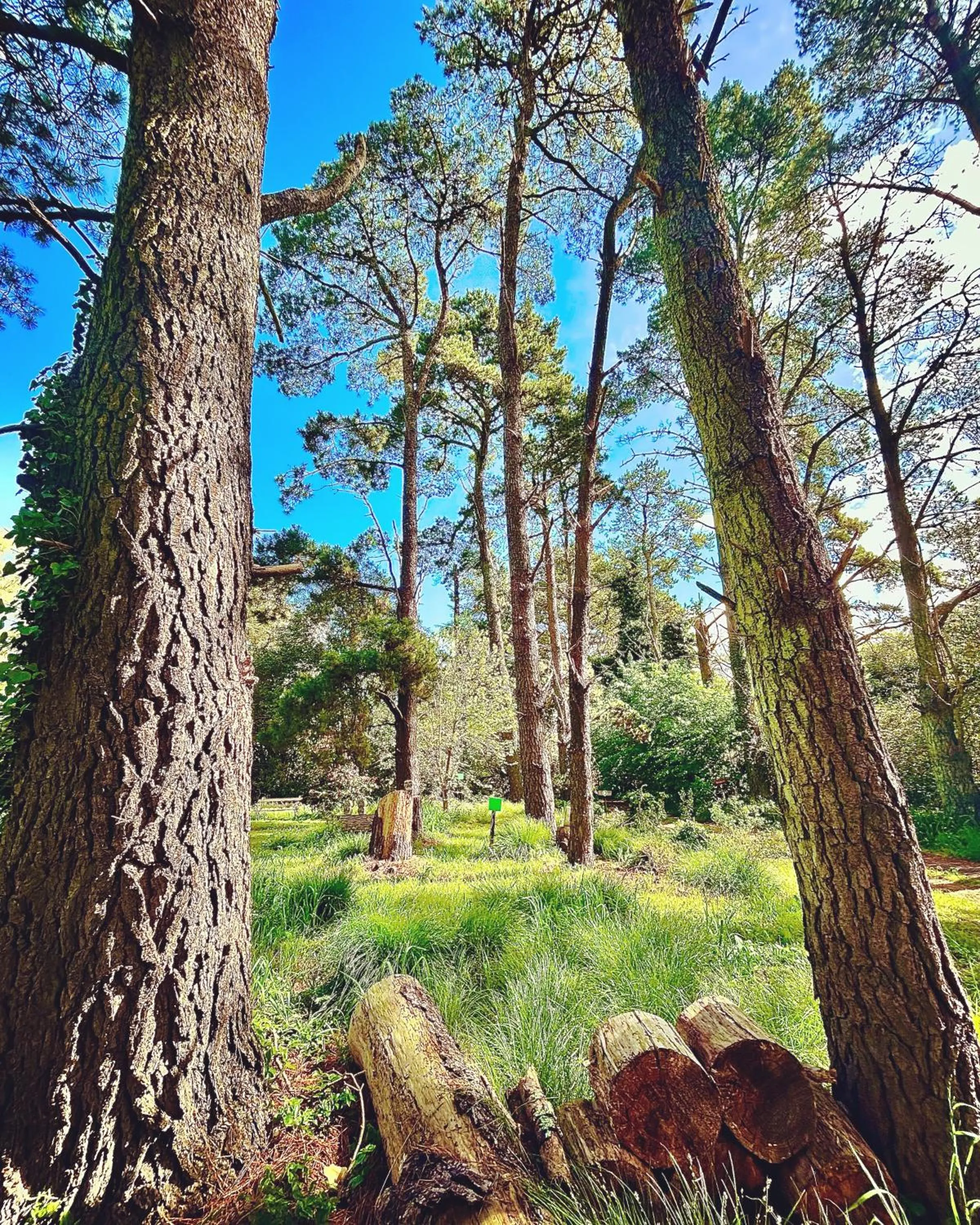 Natural landscape in Posada del Viento