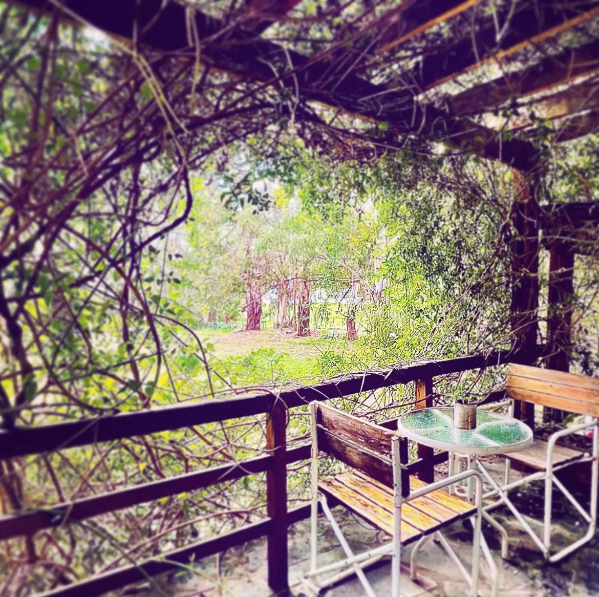 Garden in Posada del Viento