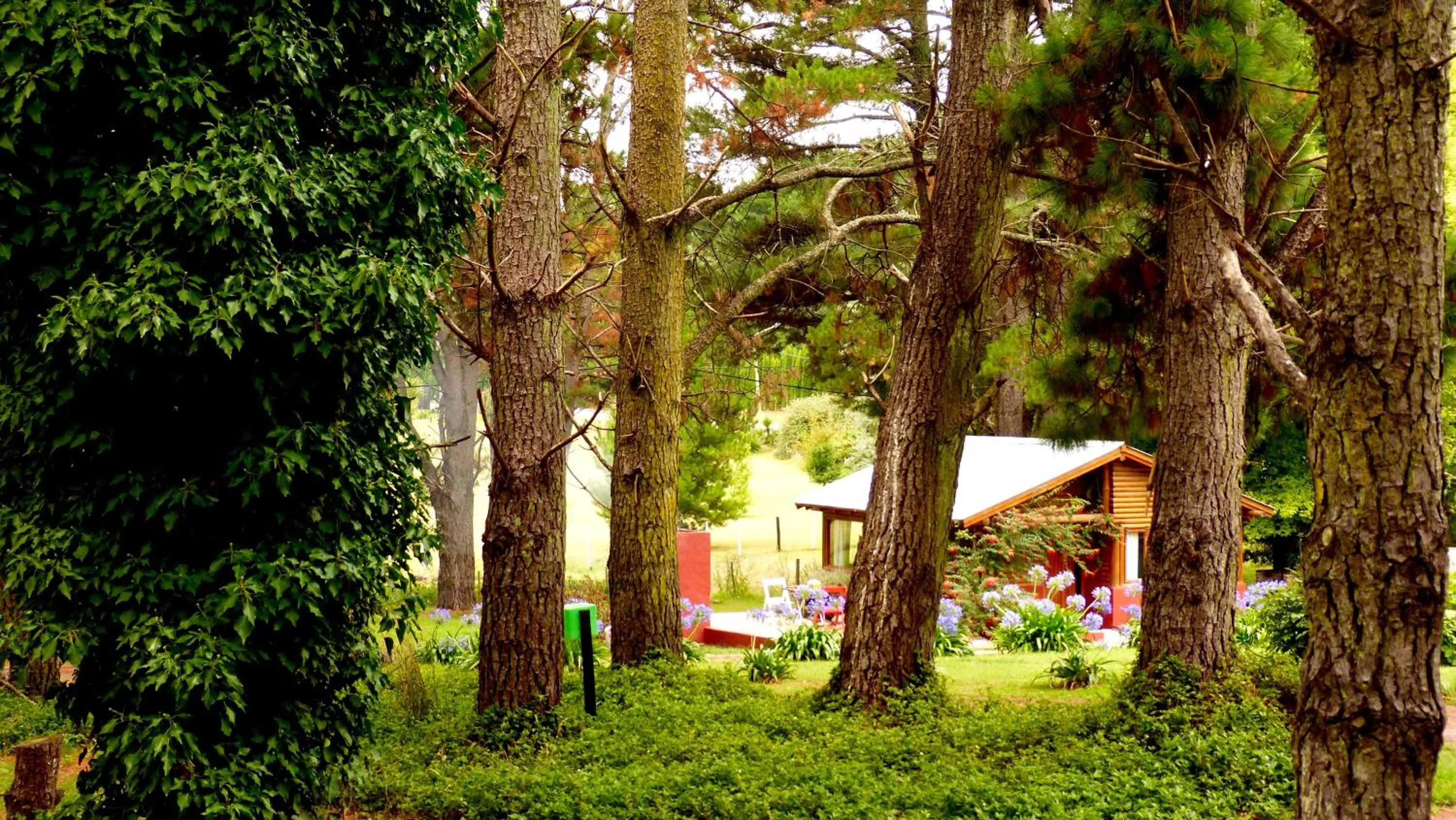 Garden in Posada del Viento