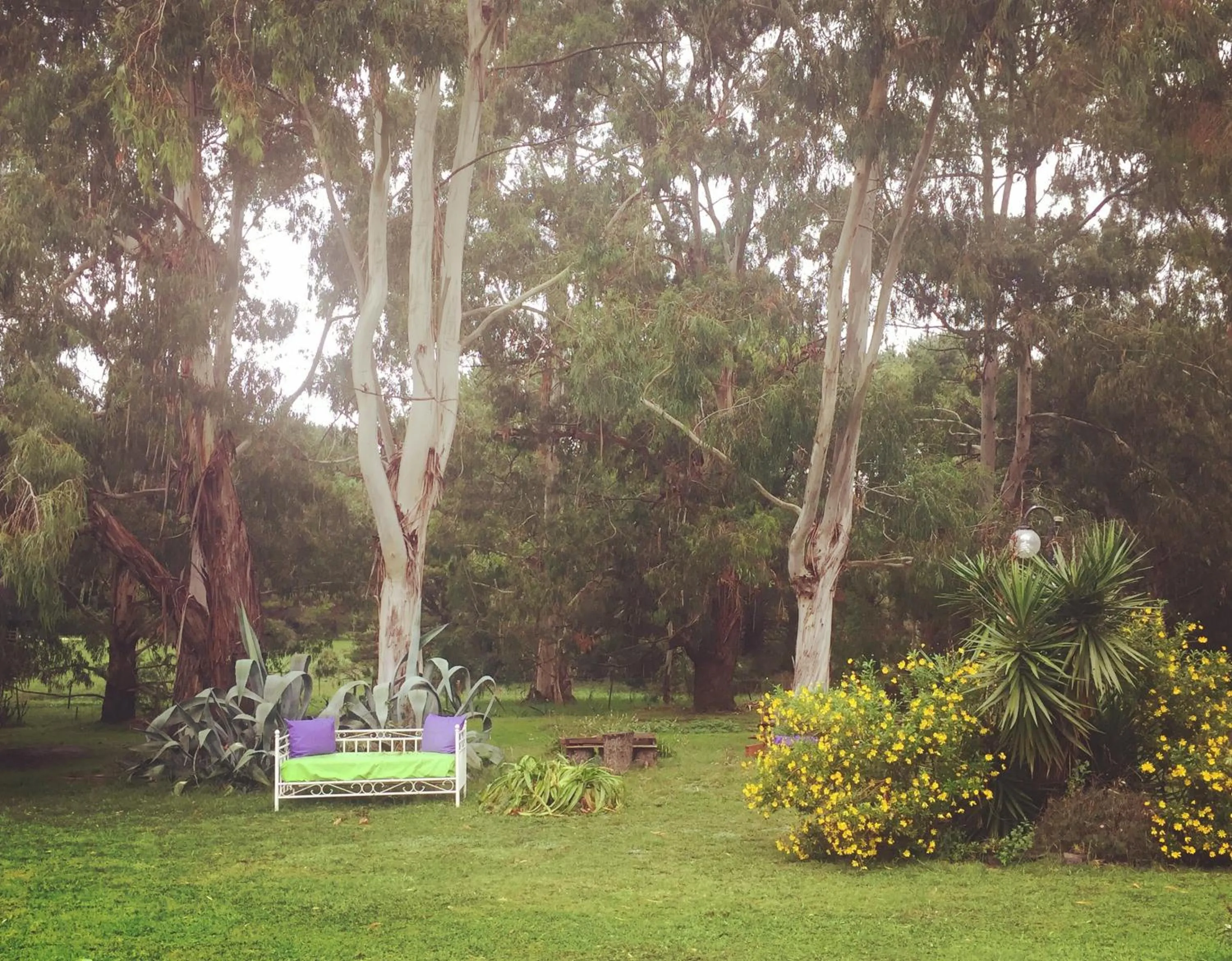 Garden in Posada del Viento