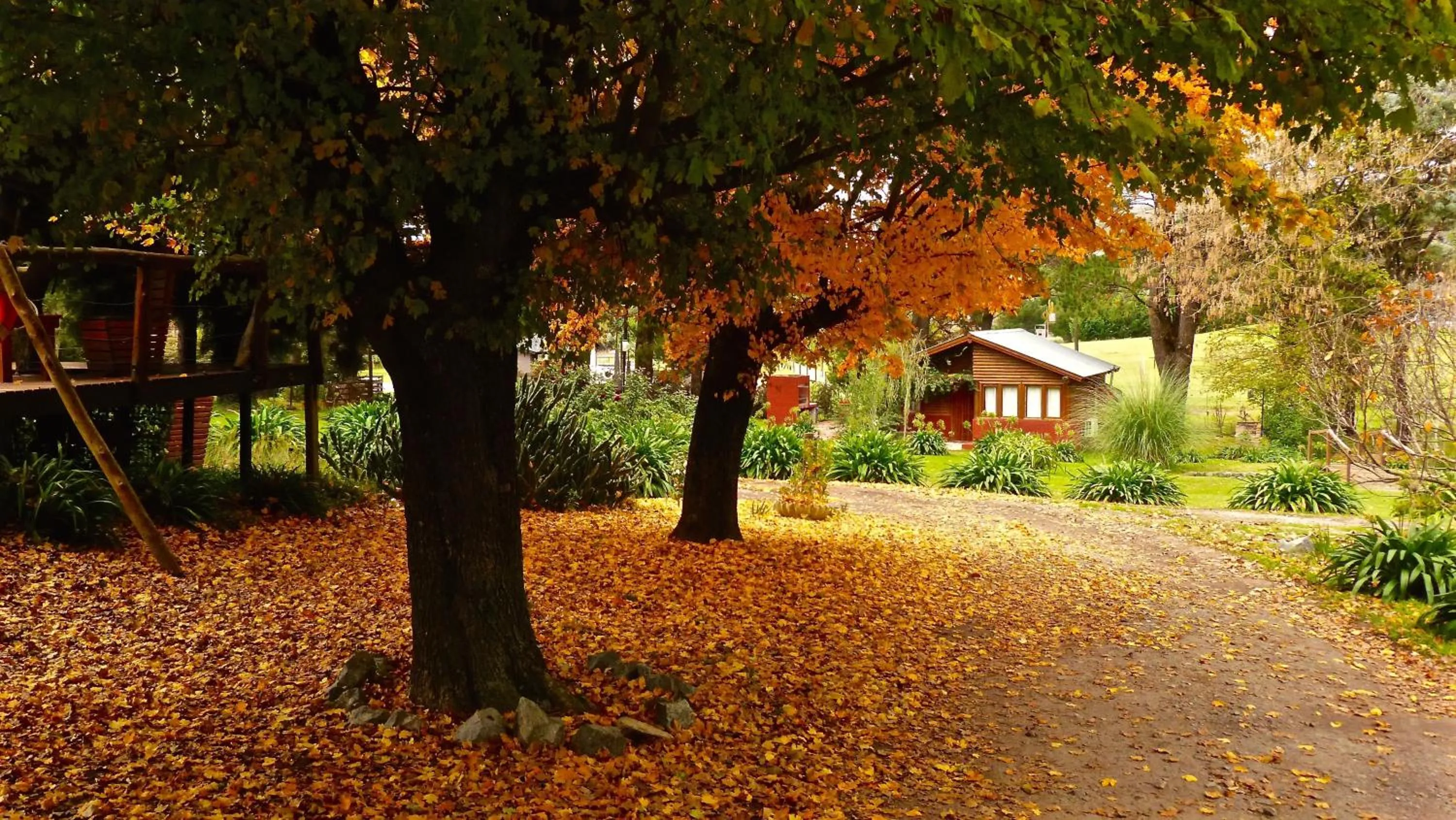 Autumn in Posada del Viento