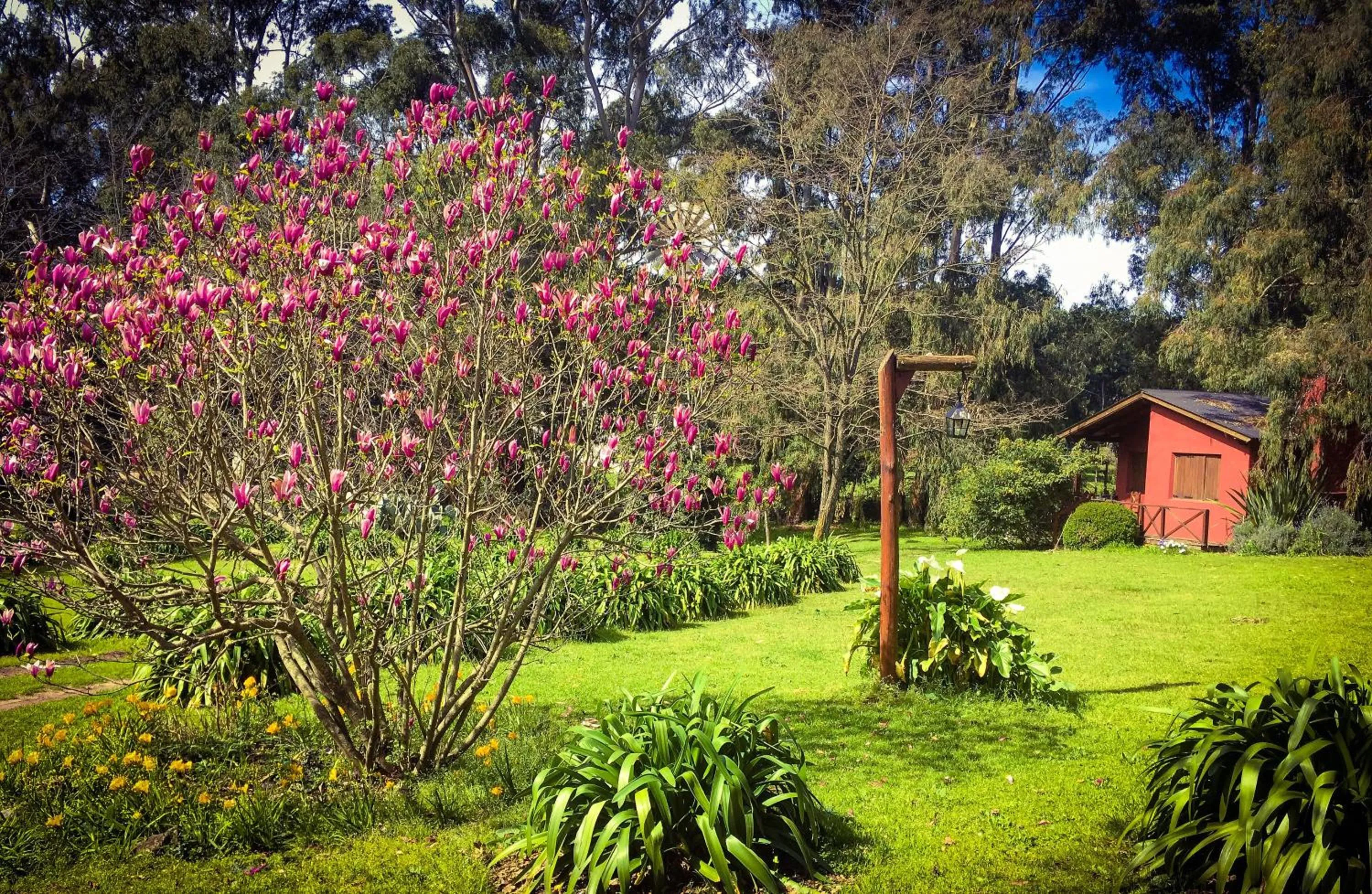 Garden in Posada del Viento