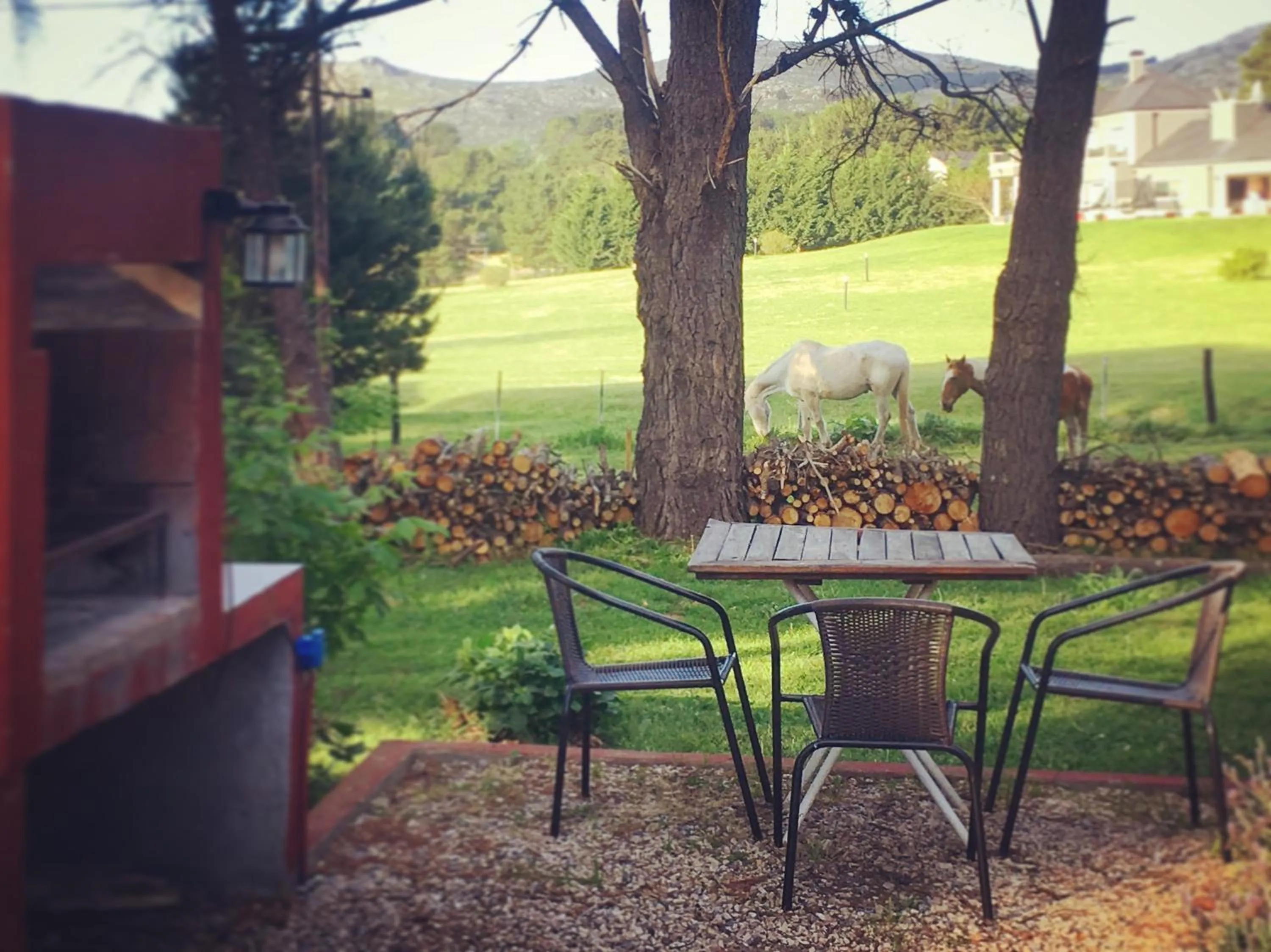 Patio in Posada del Viento