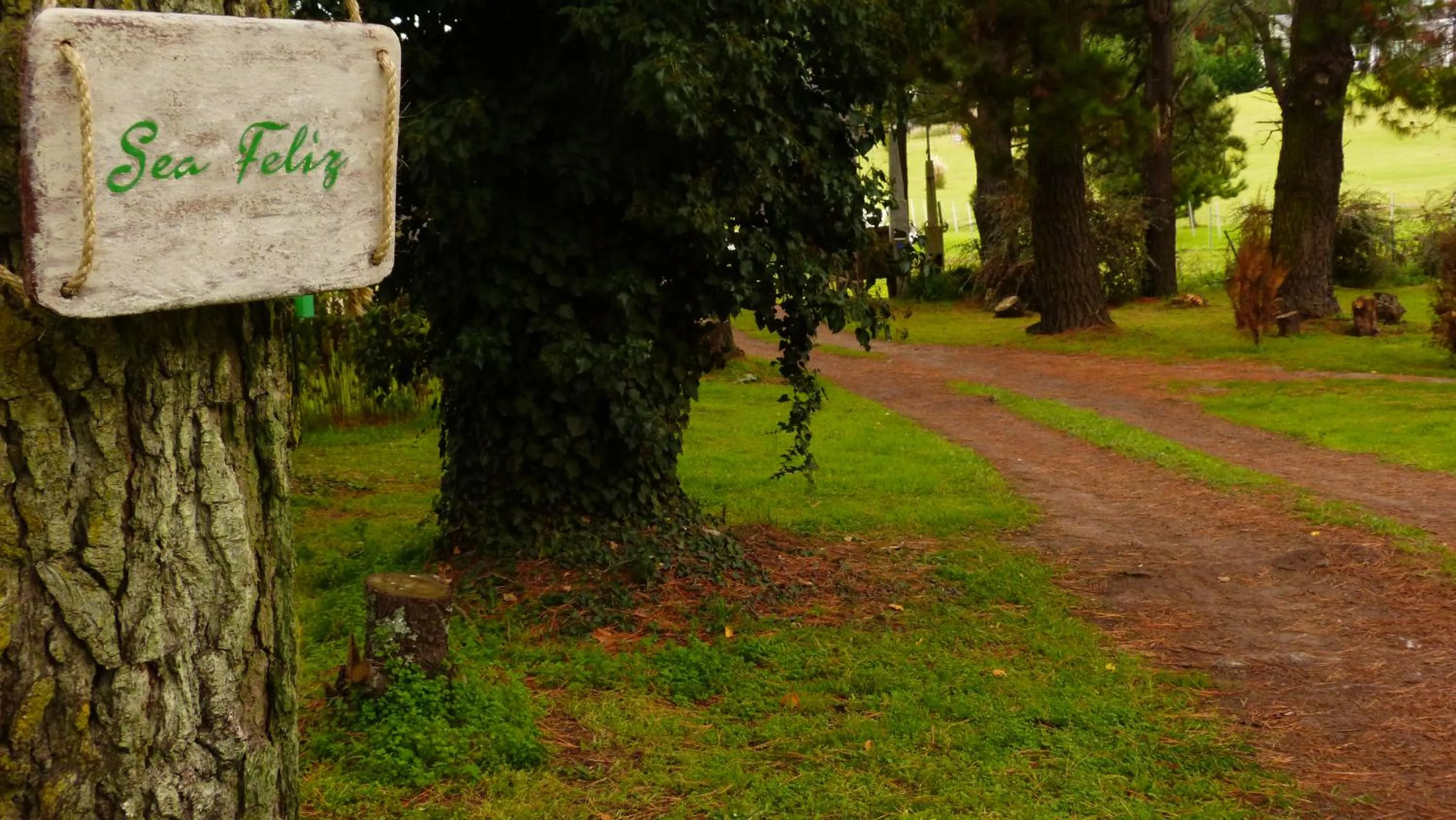 Garden in Posada del Viento
