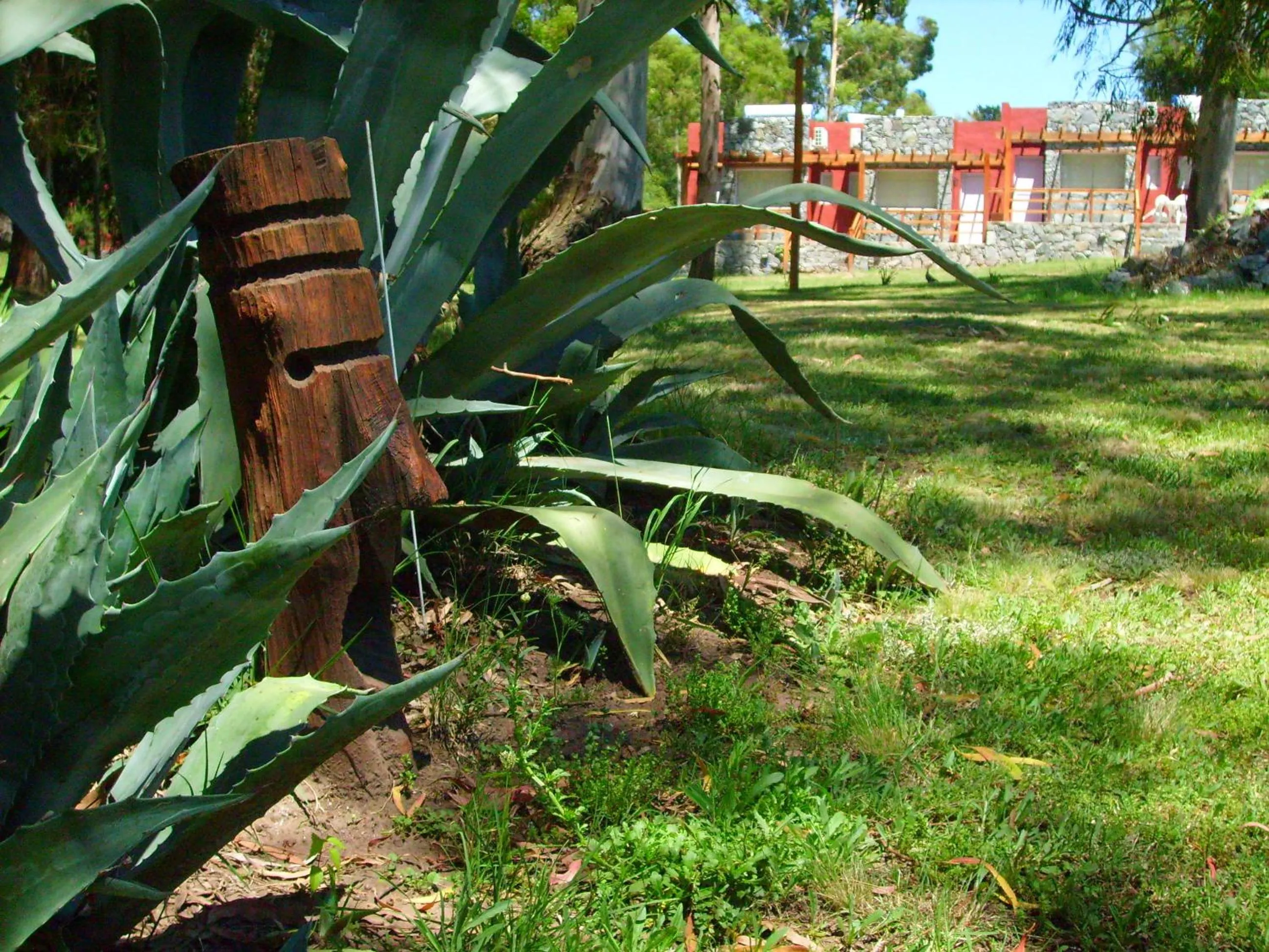 Garden in Posada del Viento