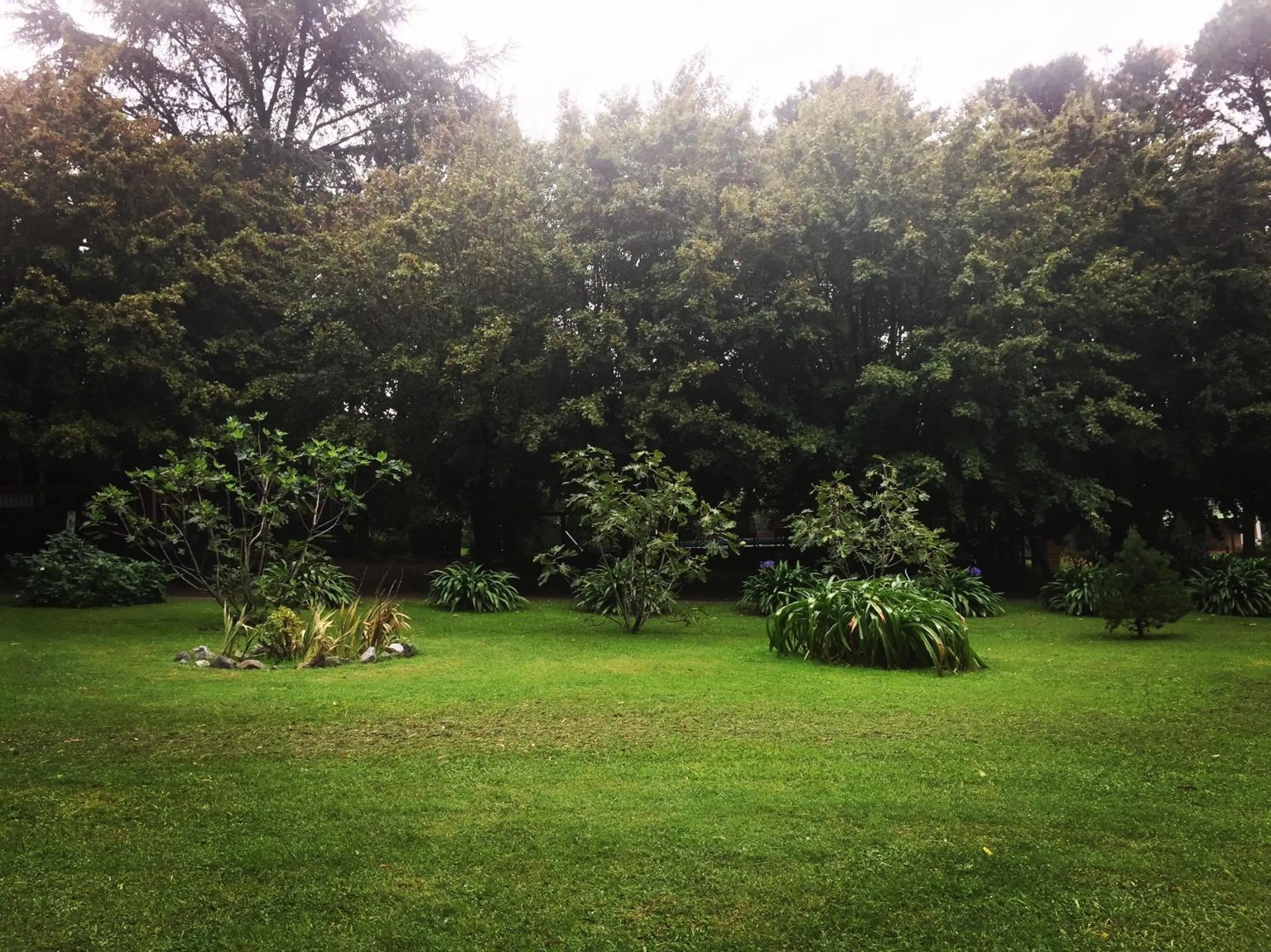 Garden in Posada del Viento