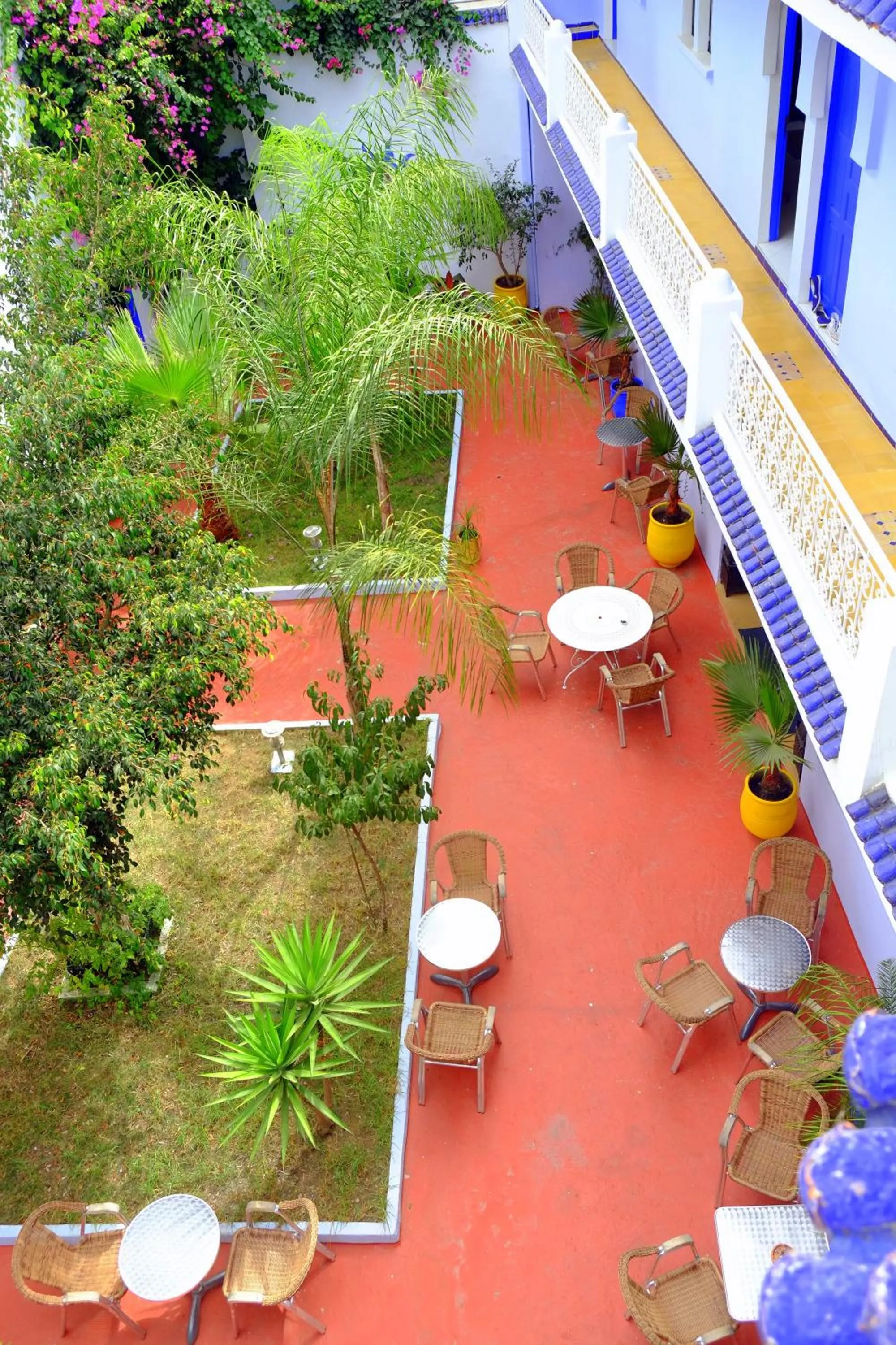 Garden in Dar Omar Khayam