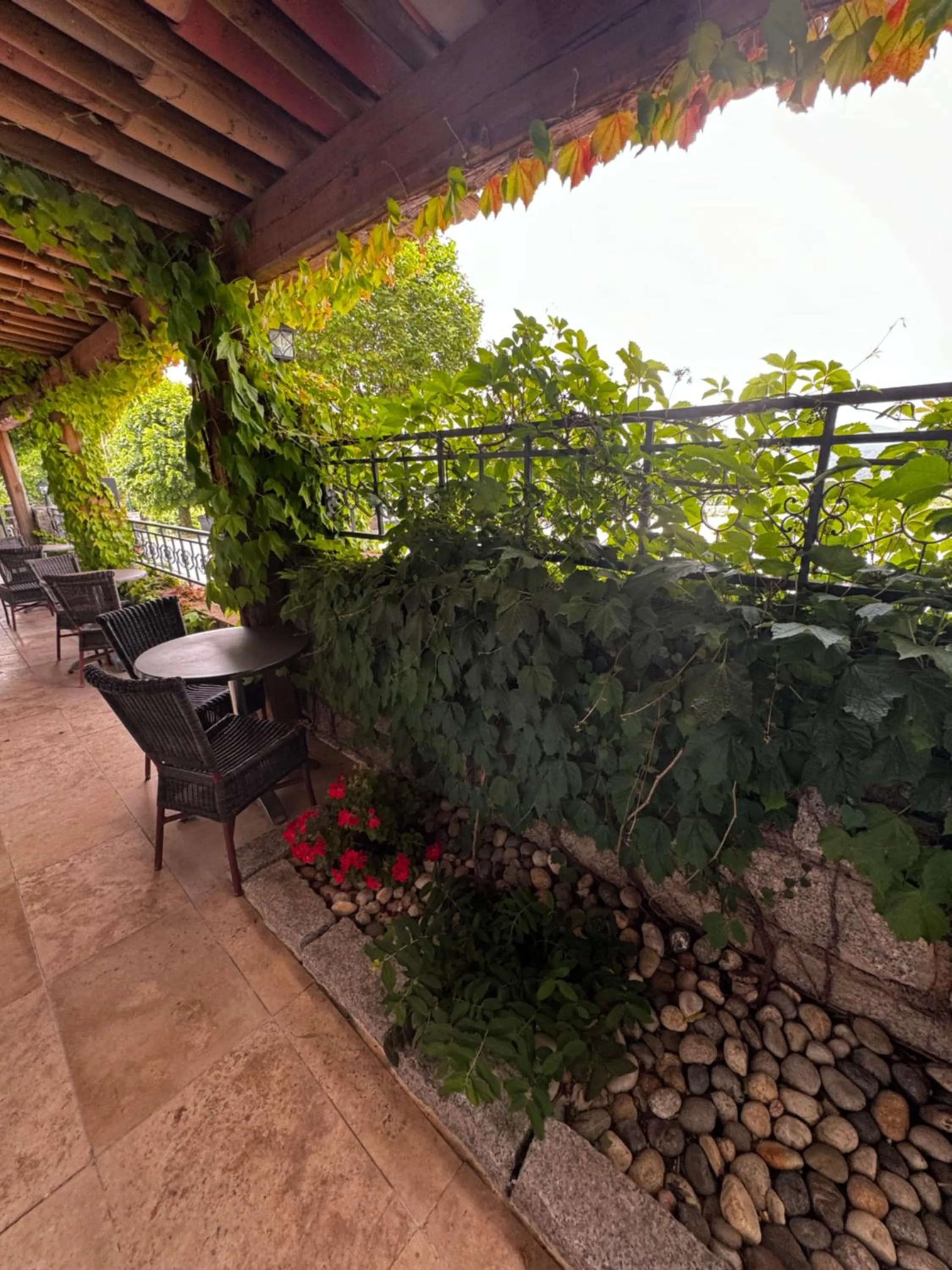 Patio in Hotel Clair de Lune