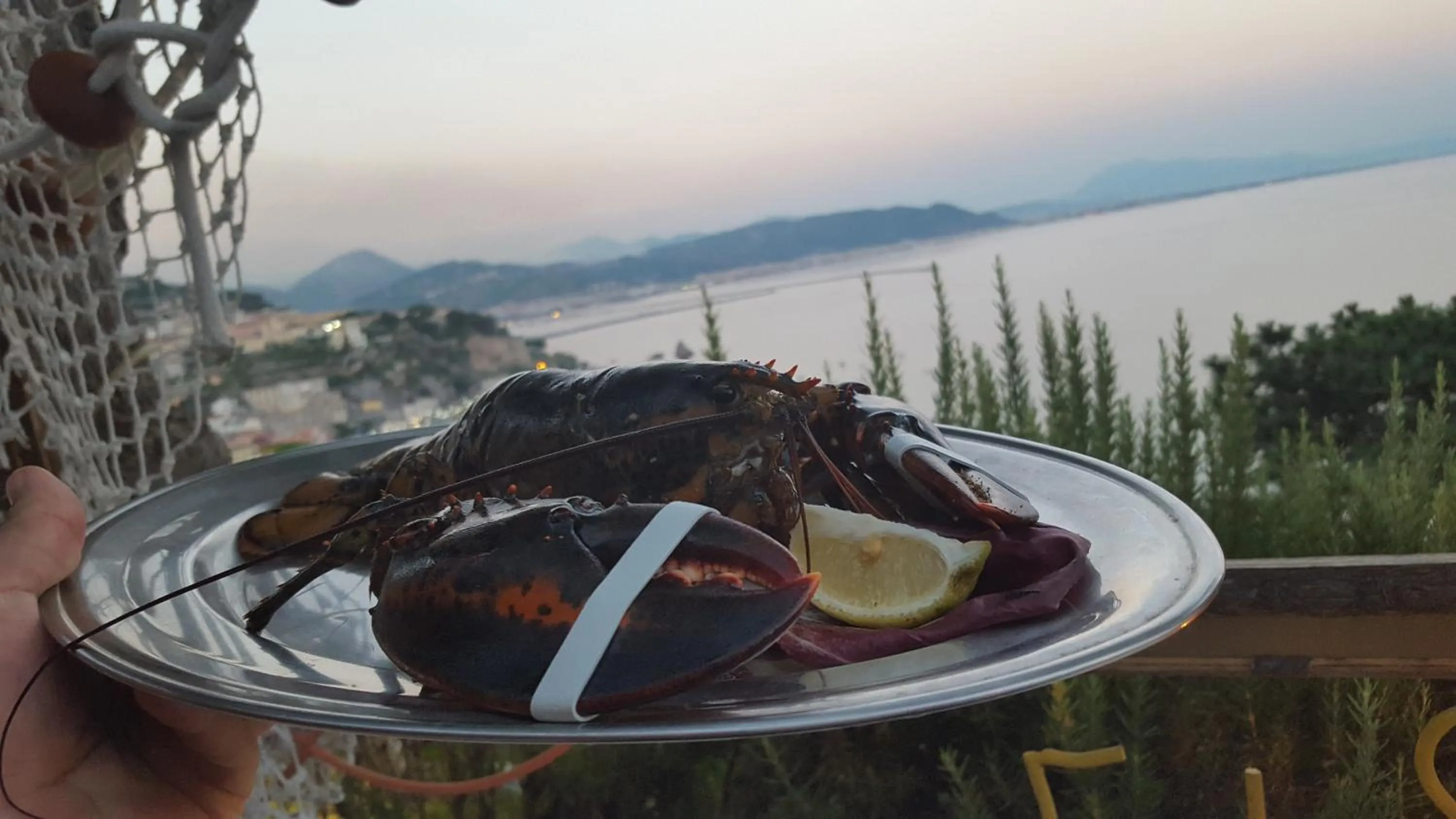 Restaurant/places to eat in B&B FISH