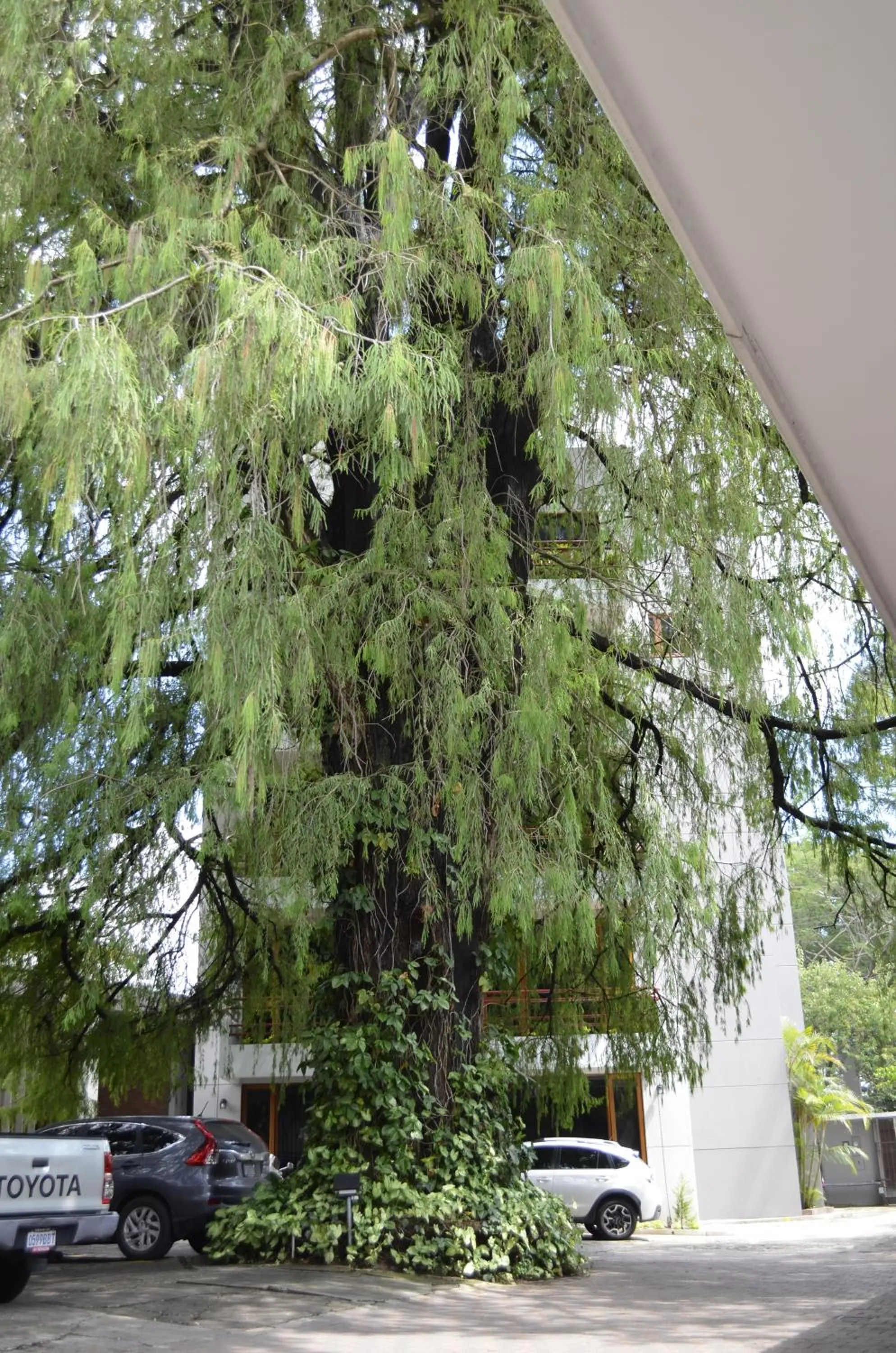 Hotel Residencia del Sol