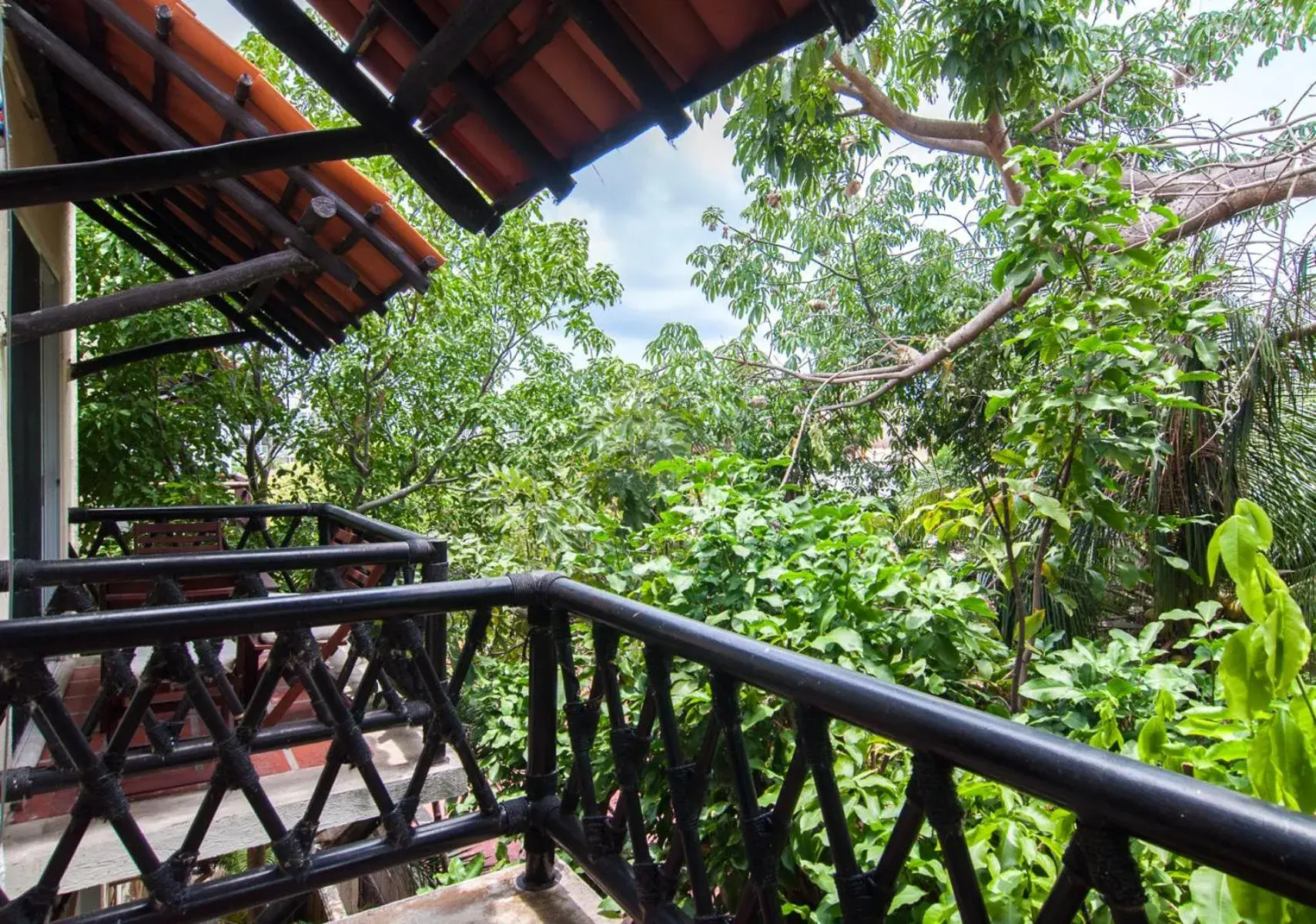 Charming authentic Mexico-Walk to beach & 5th Ave! Charming authentic Mexico-Walk to beach & 5th Ave!