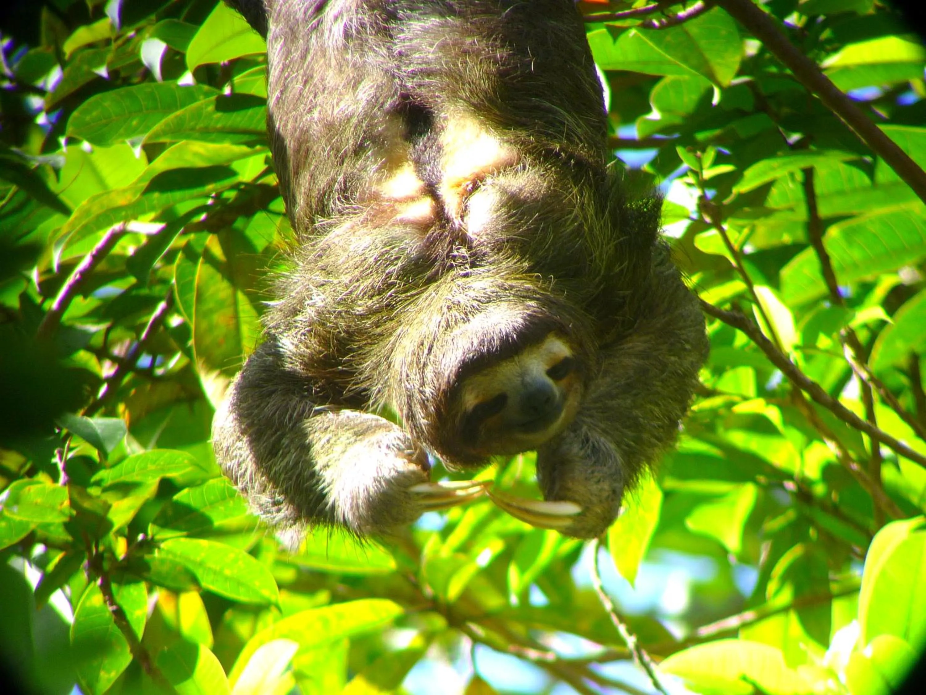 Activities in Gamboa Rainforest Reserve