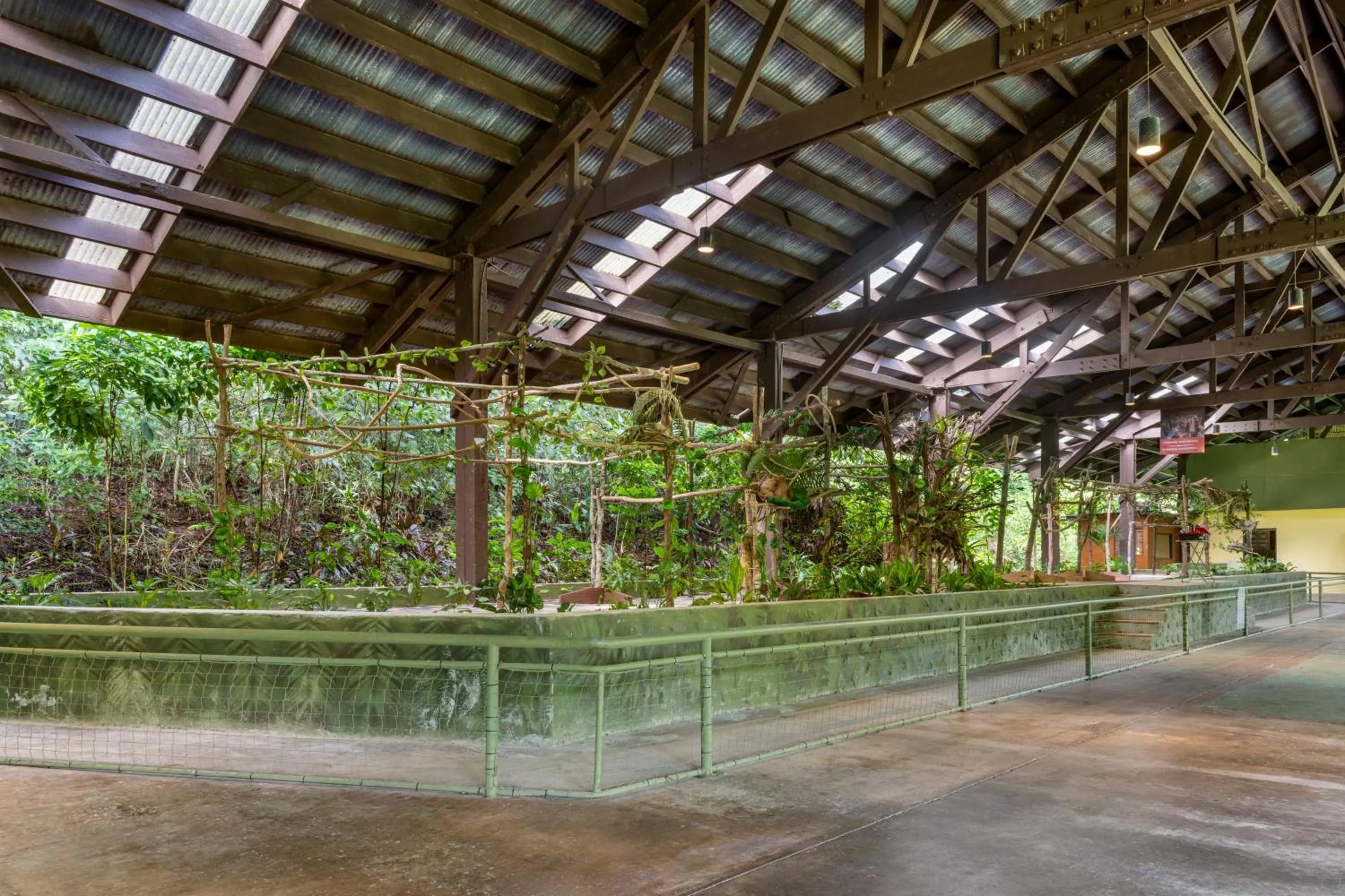 Natural landscape in Gamboa Rainforest Reserve