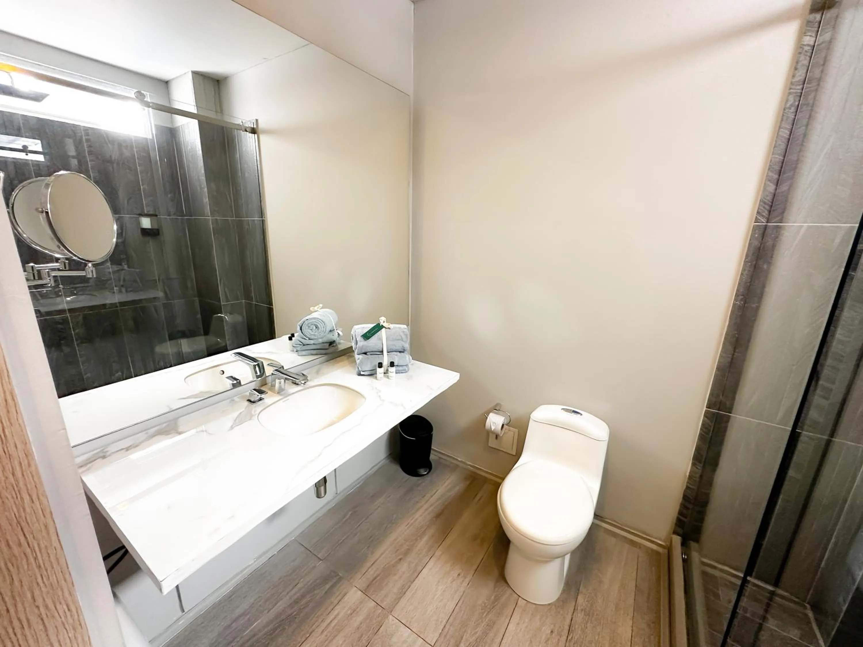 Bathroom in Hotel Arena Suites Movistar Arena