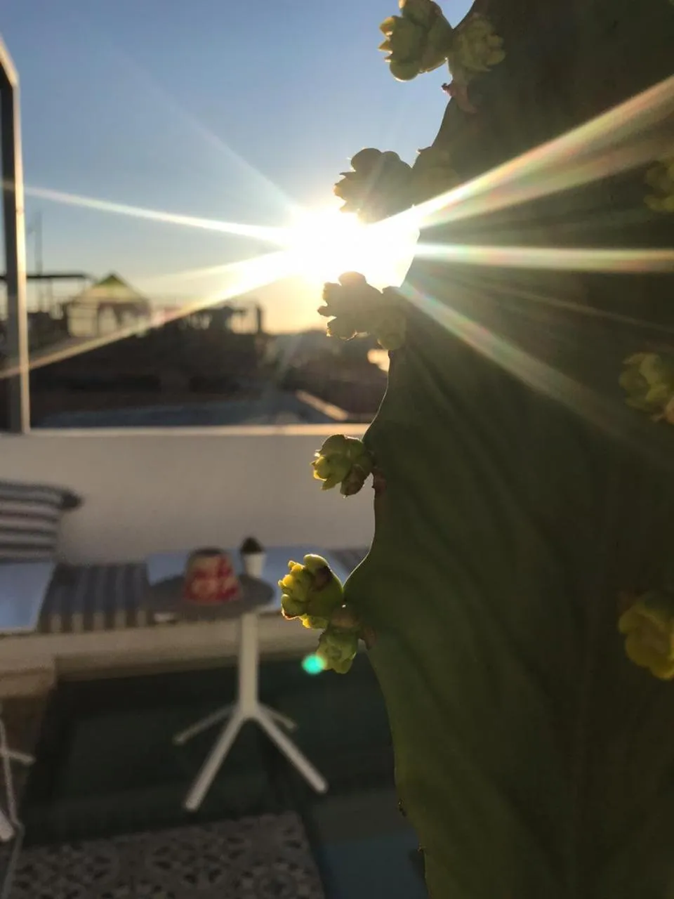 View (from property/room) in Riad Aïcha Kitchen