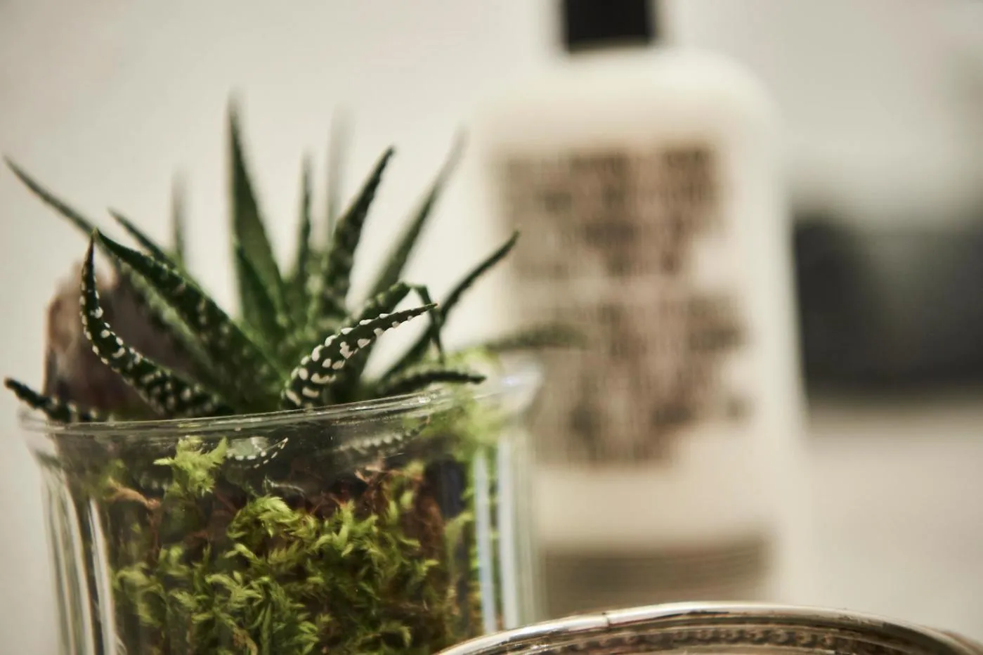 Boardinghome Oldenburg