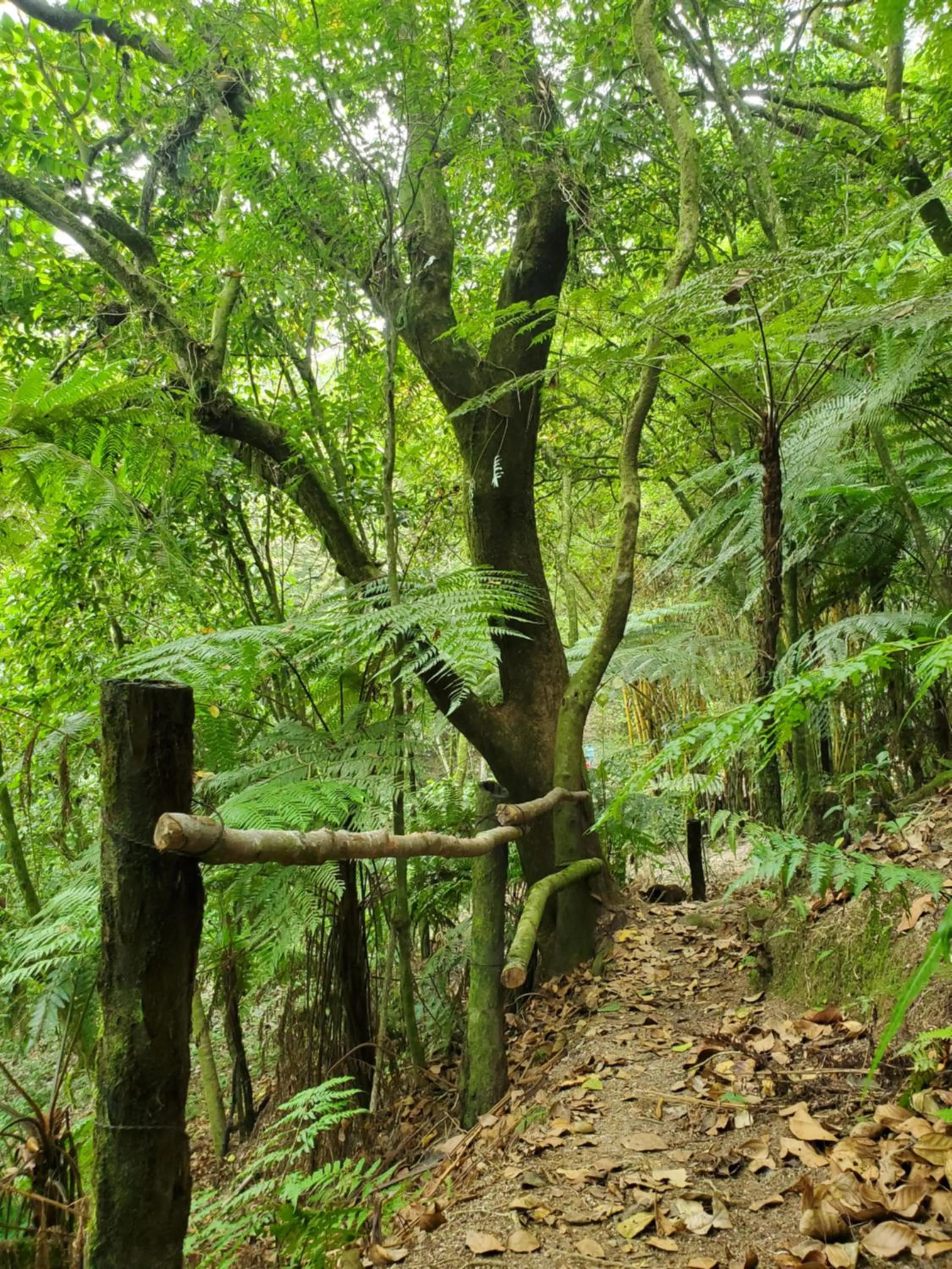 Hospedaje Totalmanik