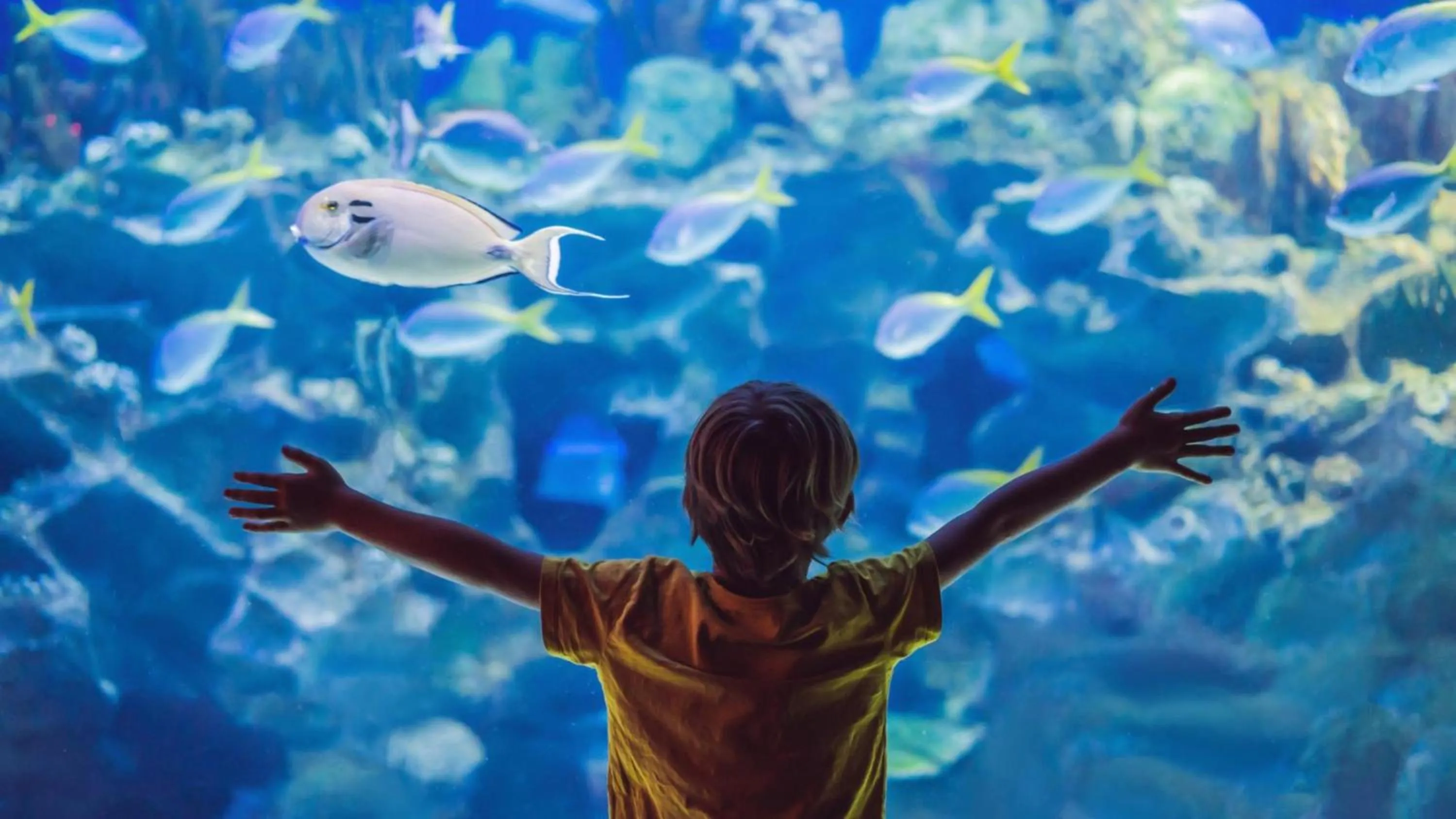 Area and facilities in Holiday Inn Bangkok by IHG