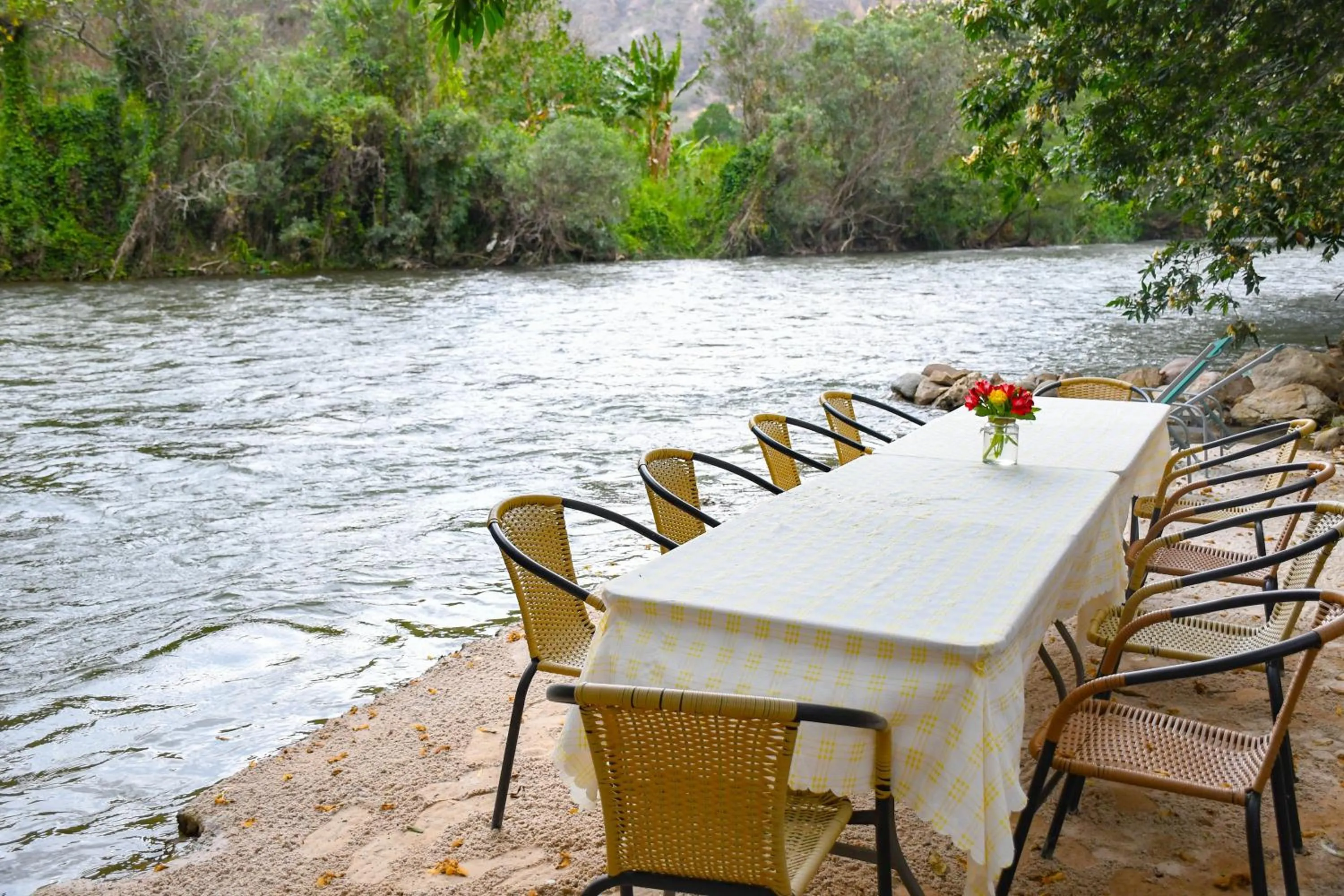 Restaurant/places to eat in Zoila's Suite Escape