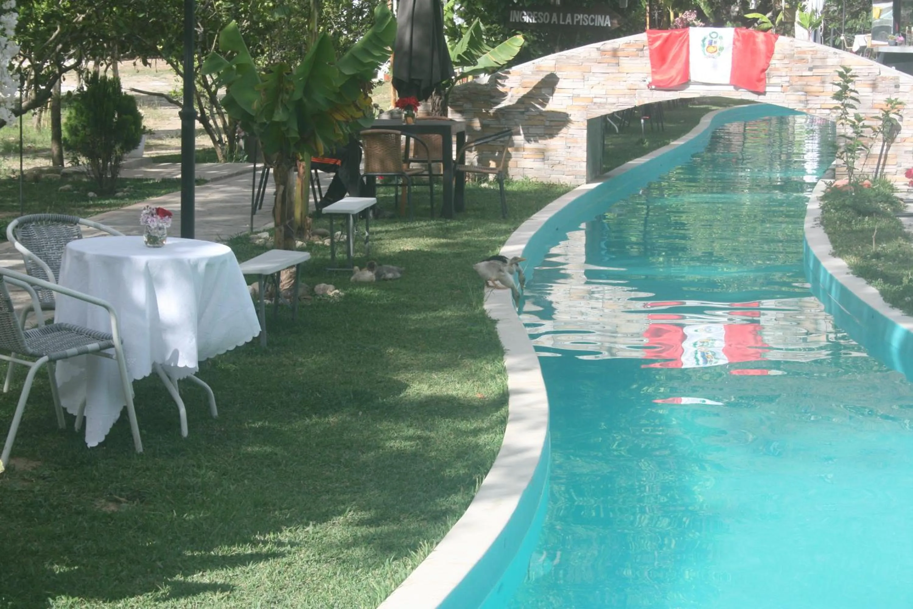 Animals in Zoila's Suite Escape