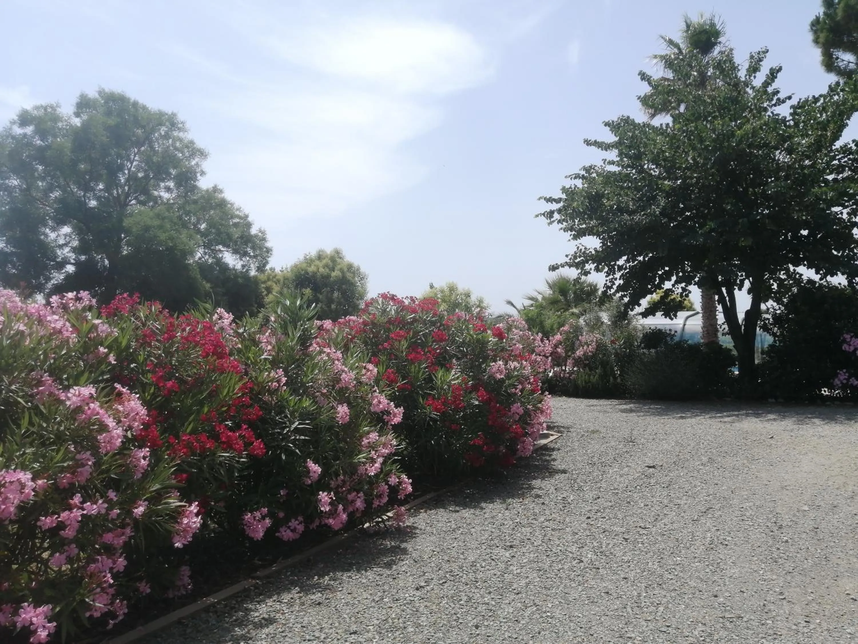 Natural landscape in A l'Orée Des Vignes