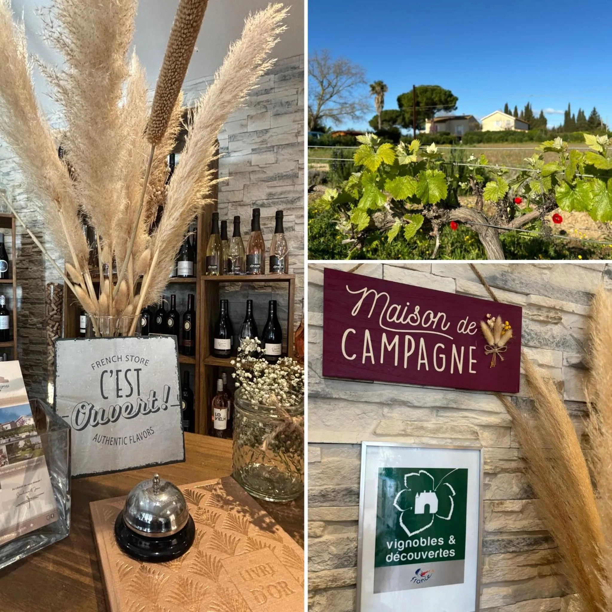 Logo/Certificate/Sign in A l'Orée Des Vignes