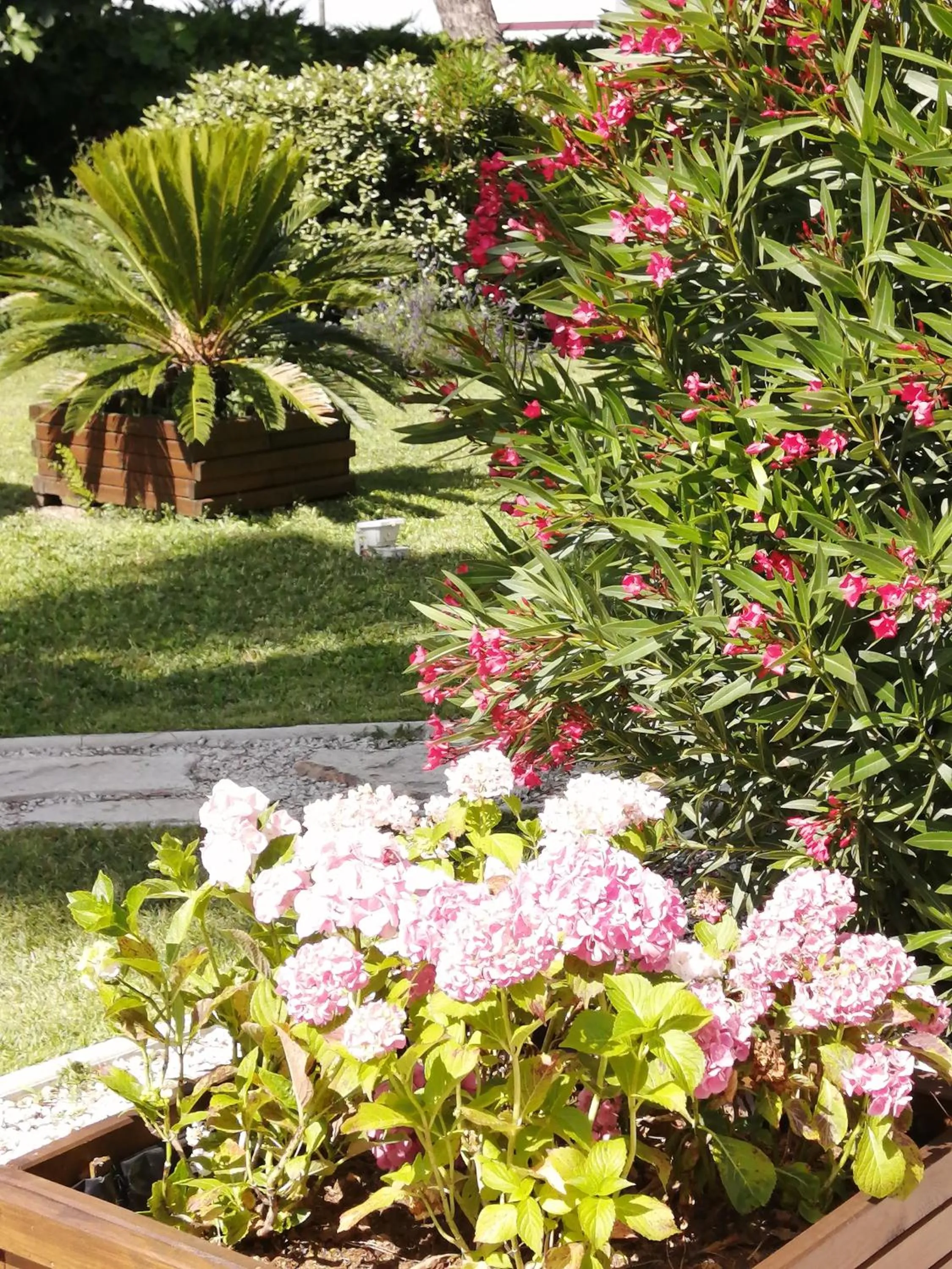 Garden in A l'Orée Des Vignes