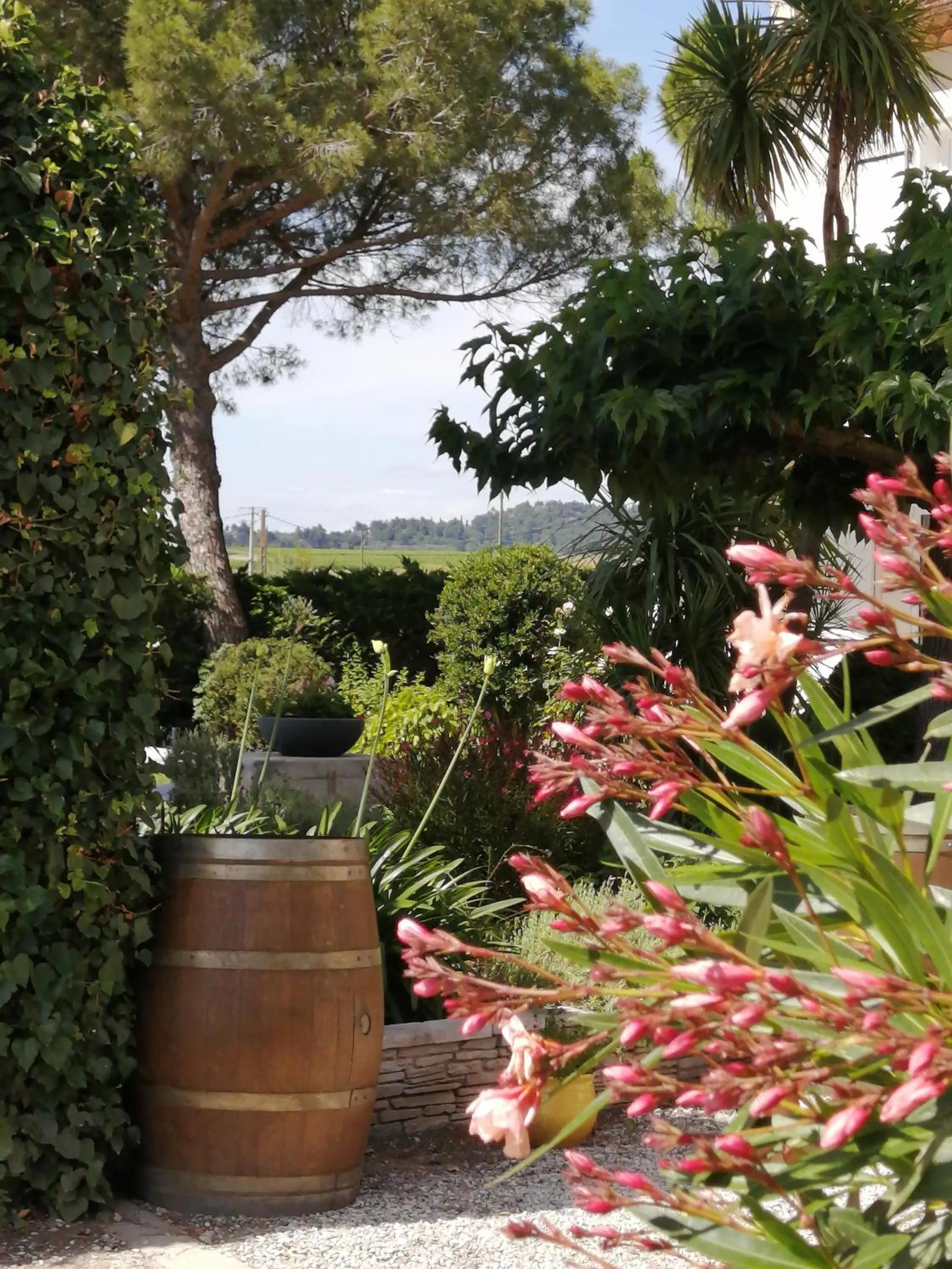 Garden in A l'Orée Des Vignes