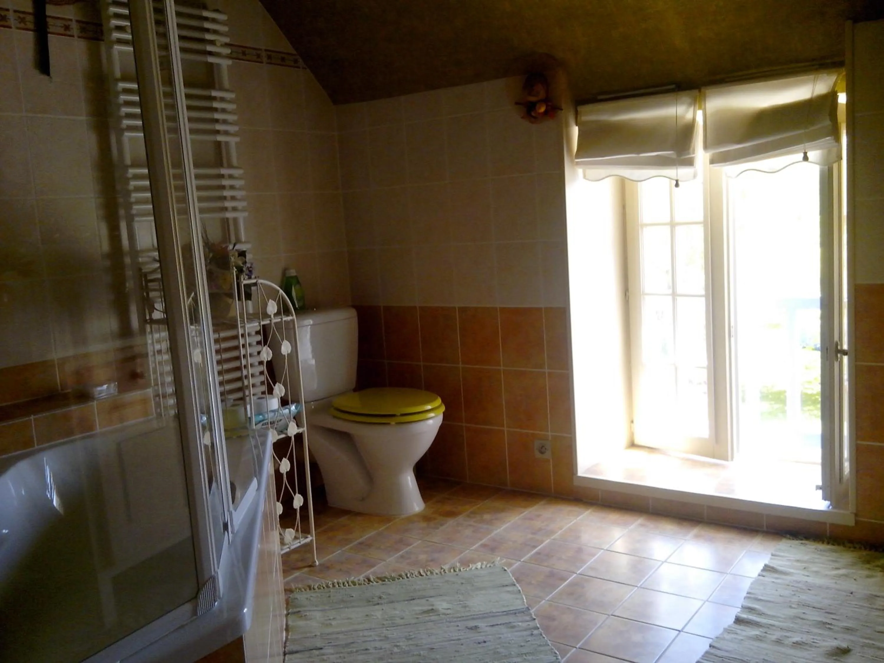 Toilet in LES HIRONDELLES