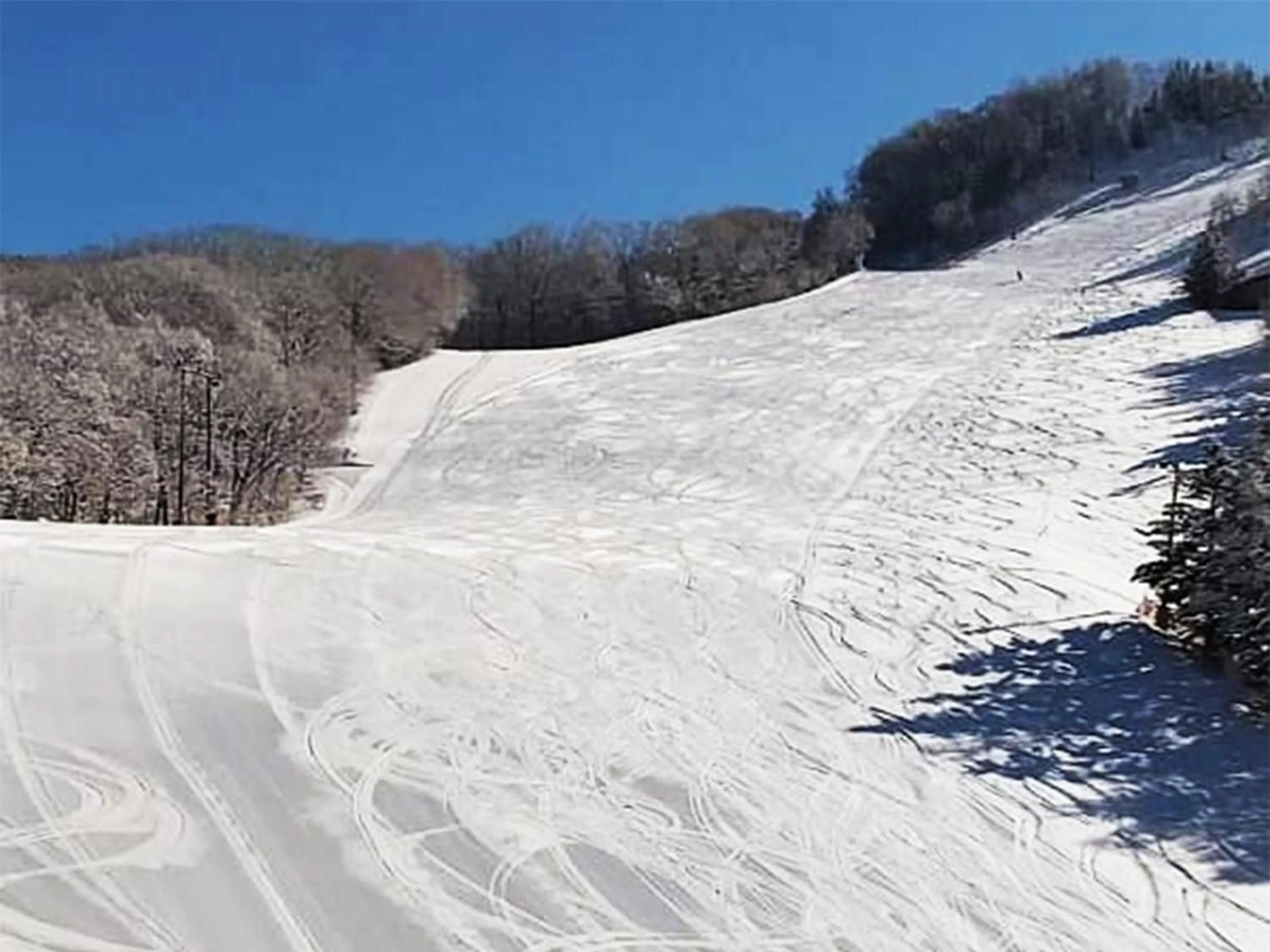 Skiing in Villa Alpen