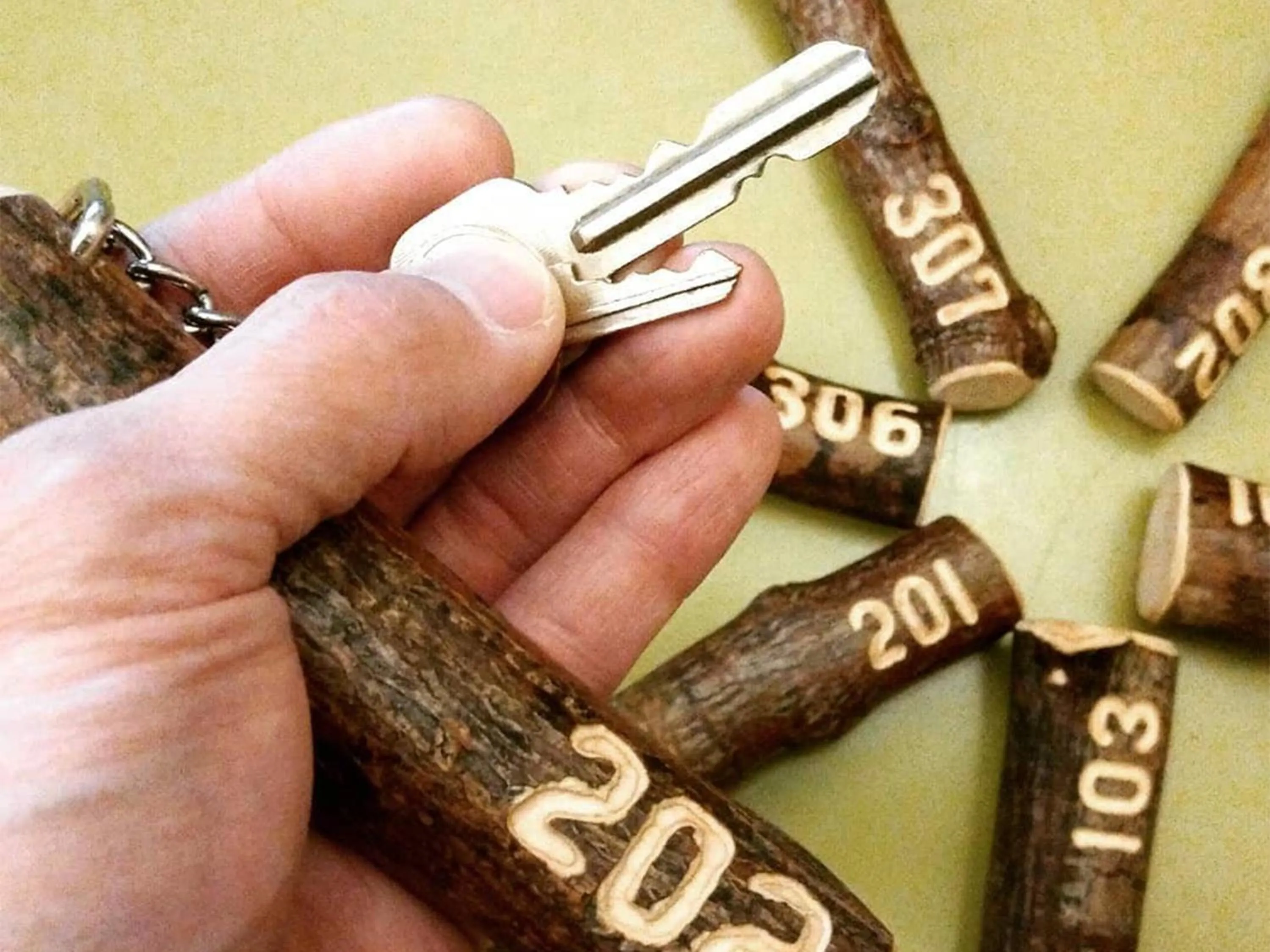 Area and facilities in Villa Alpen