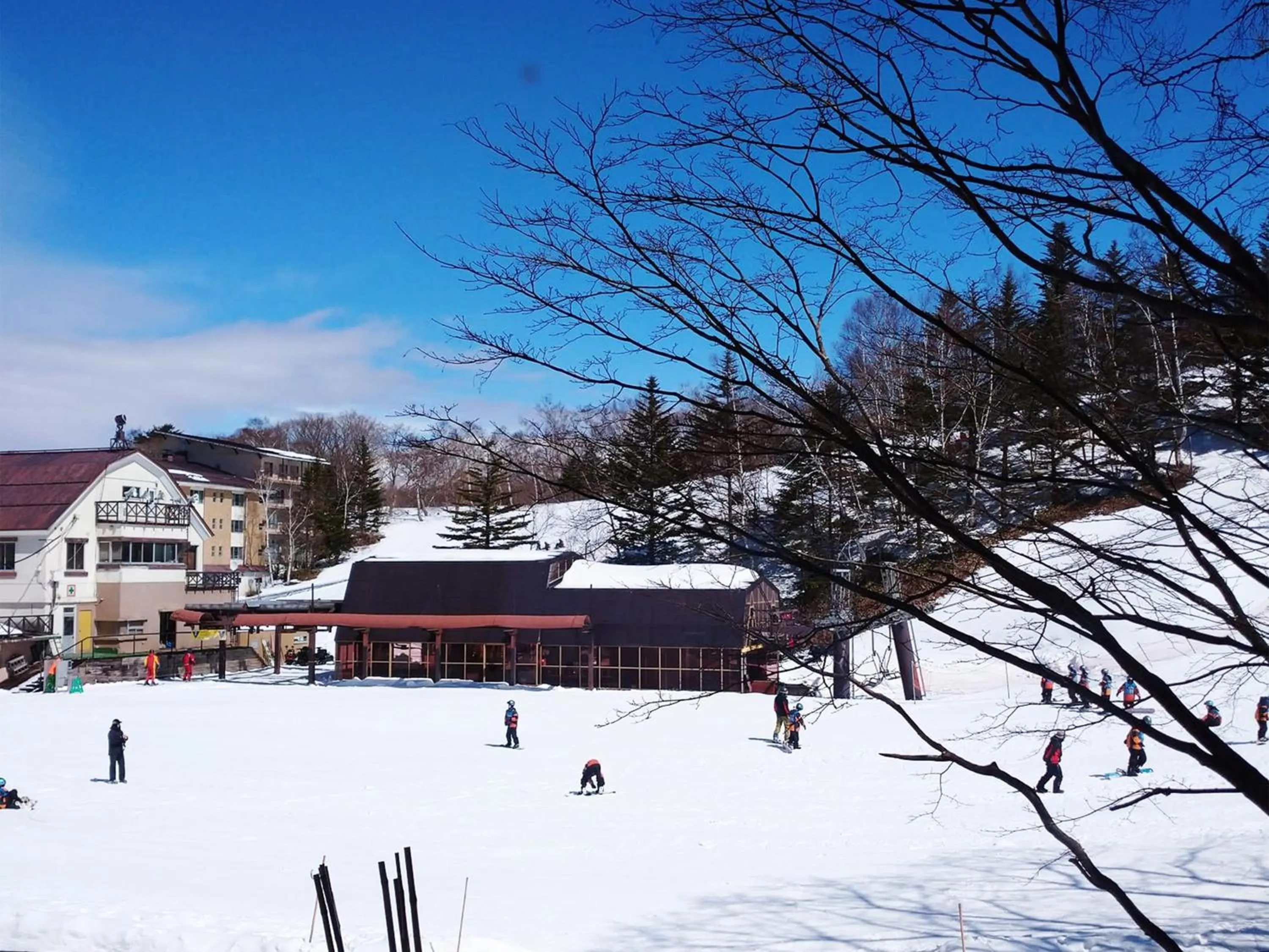 Skiing in Villa Alpen
