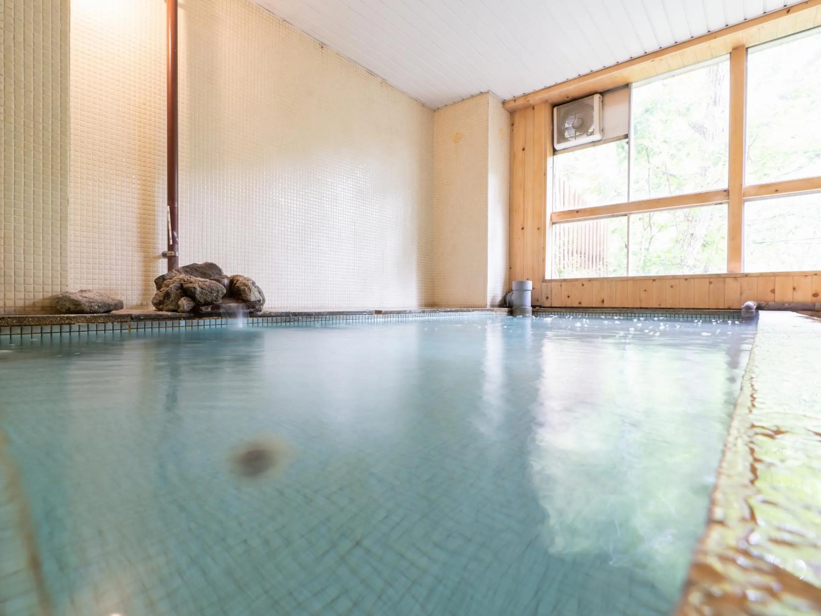 Public Bath in Villa Alpen