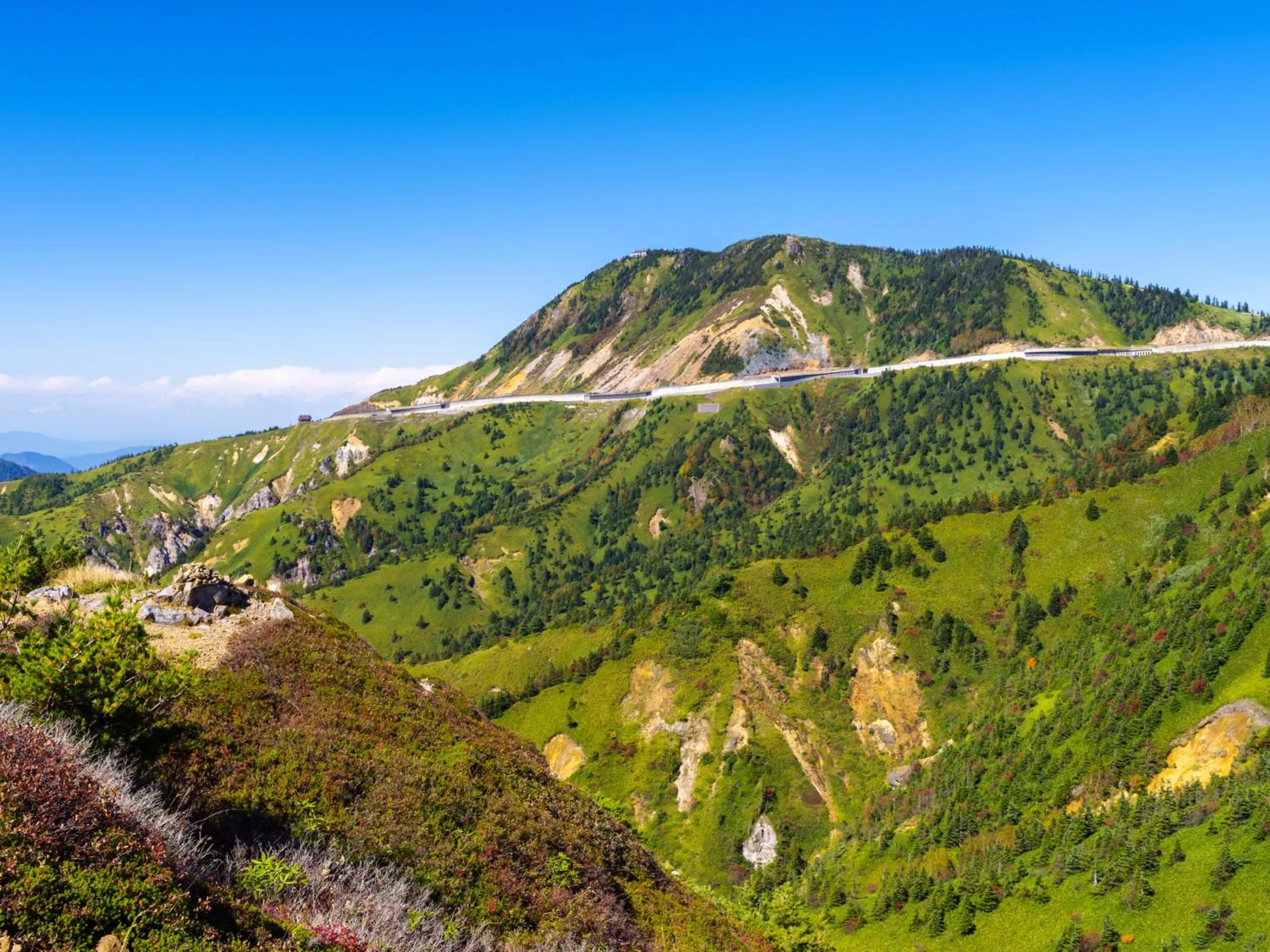 Neighbourhood in Villa Alpen
