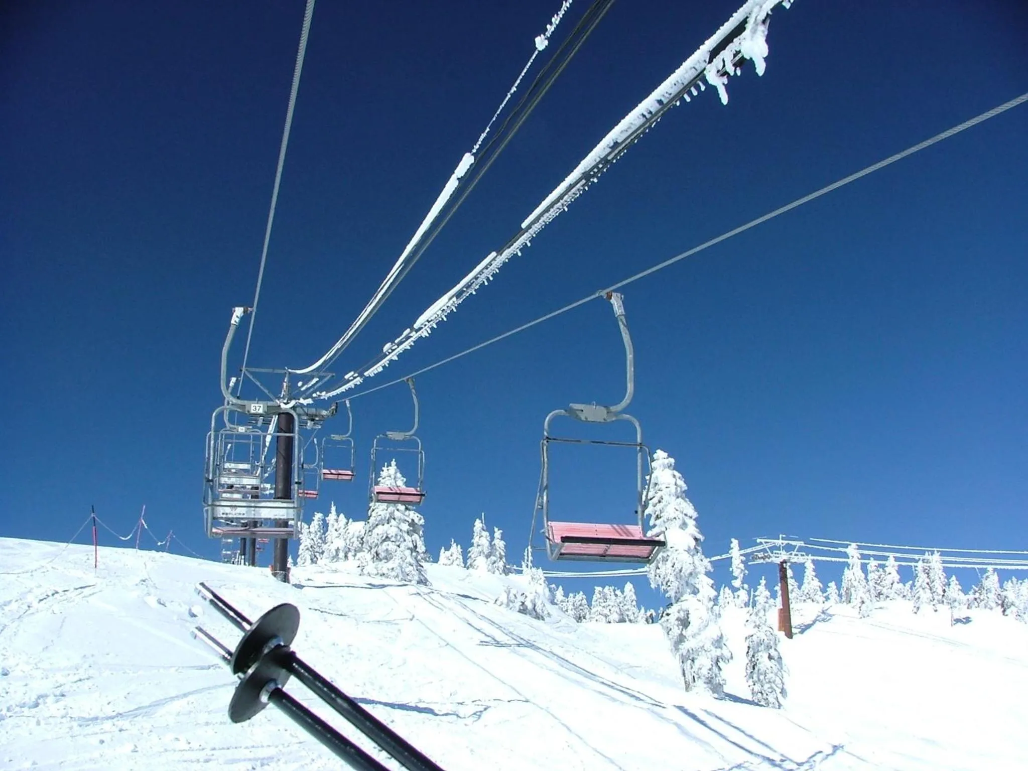 Neighbourhood in Villa Alpen