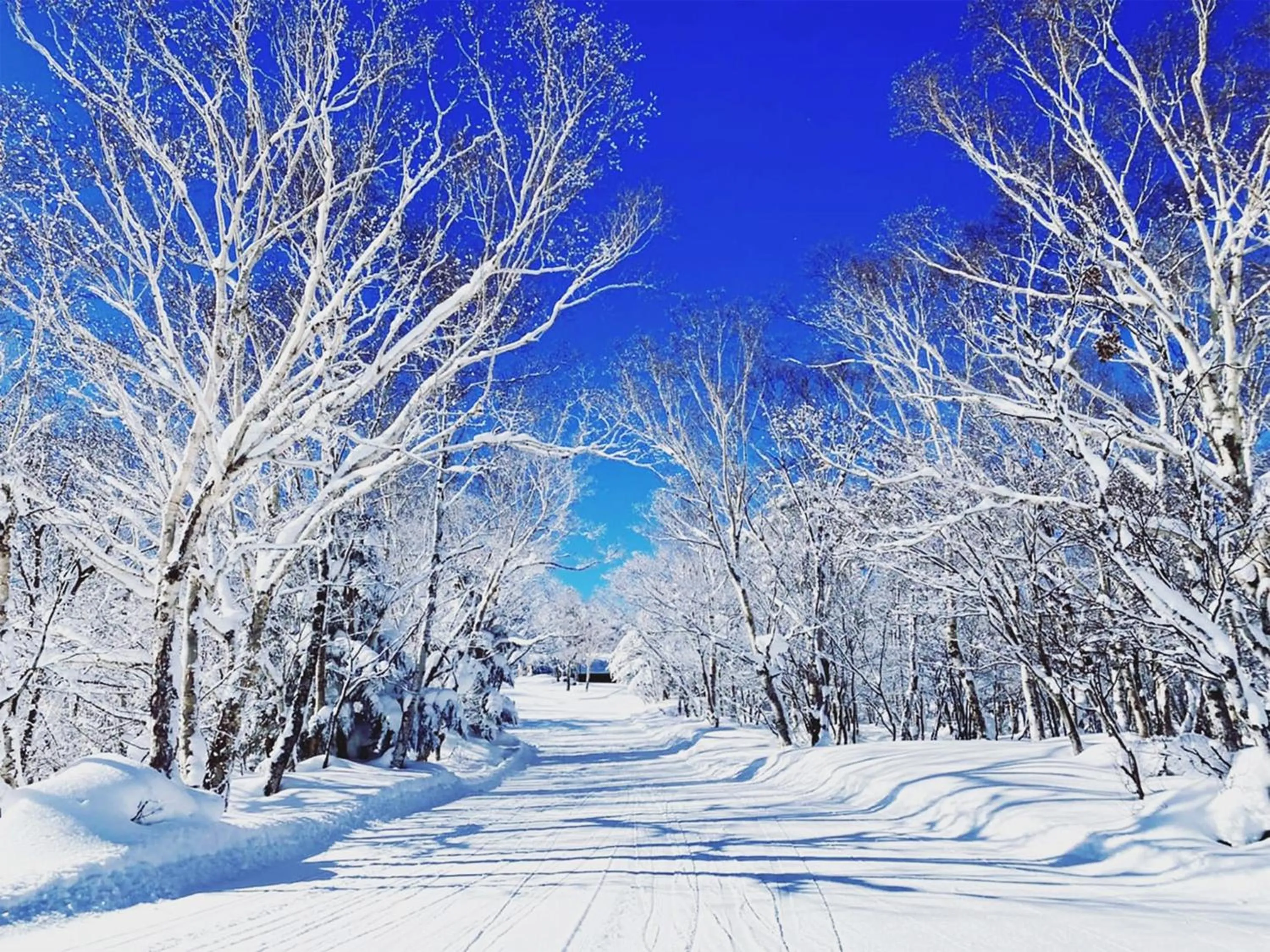 Skiing in Villa Alpen