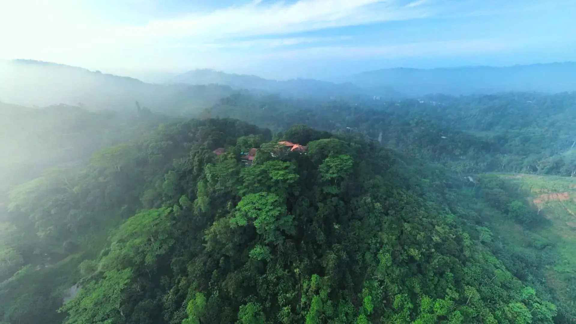 Property building in Tree of Life Nature Resort Property building in Tree of Life Nature Resort